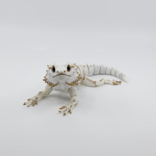 Bearded Dragon type 1 Front