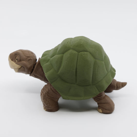 Turtle Side View