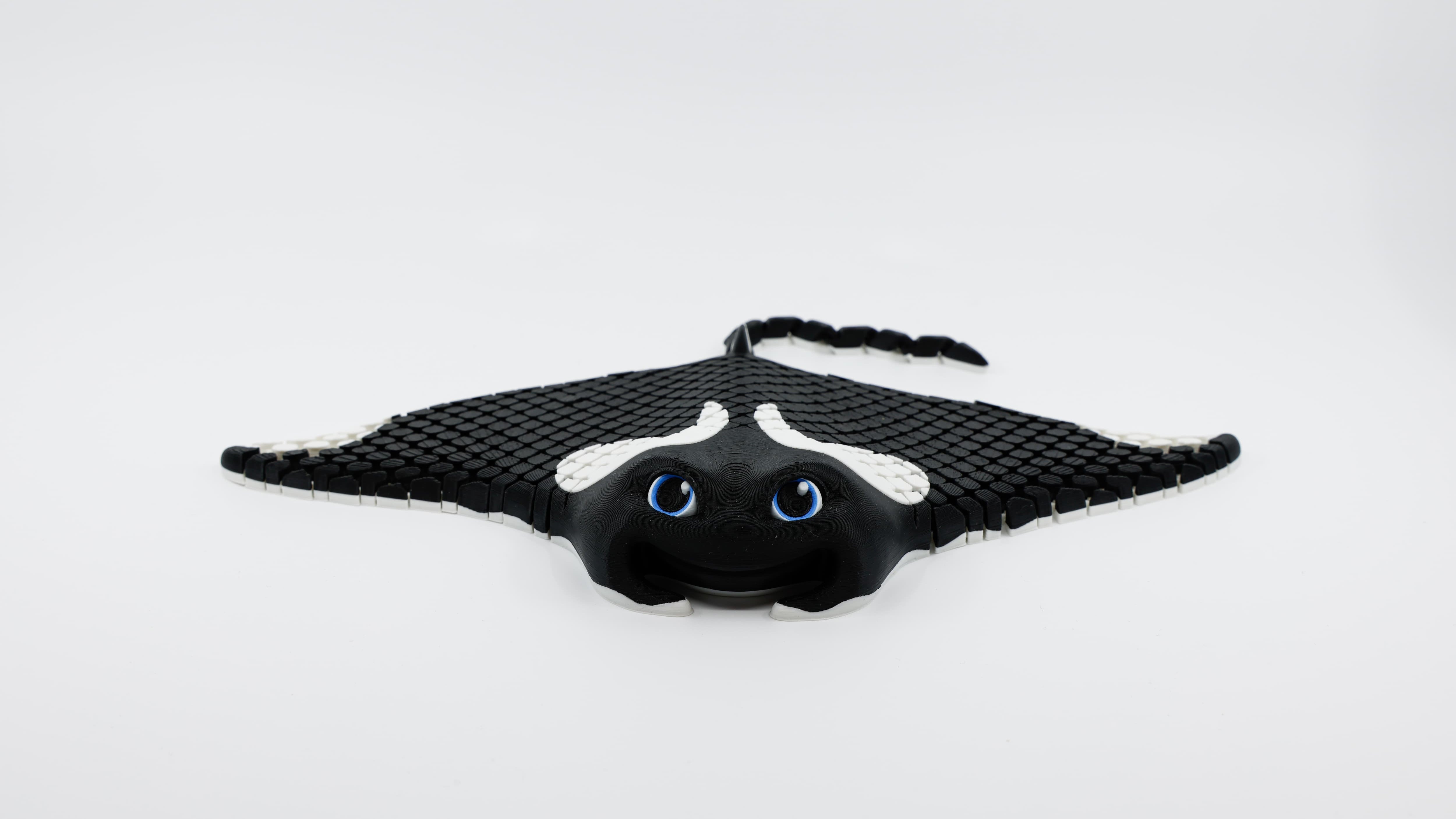 Front view of 3D printed flexible manta ray fidget showing wide wingspan and flowing design