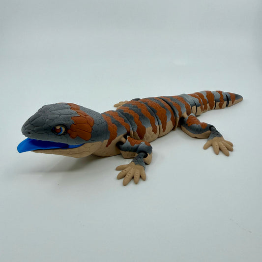 Blue Tongue Lizard