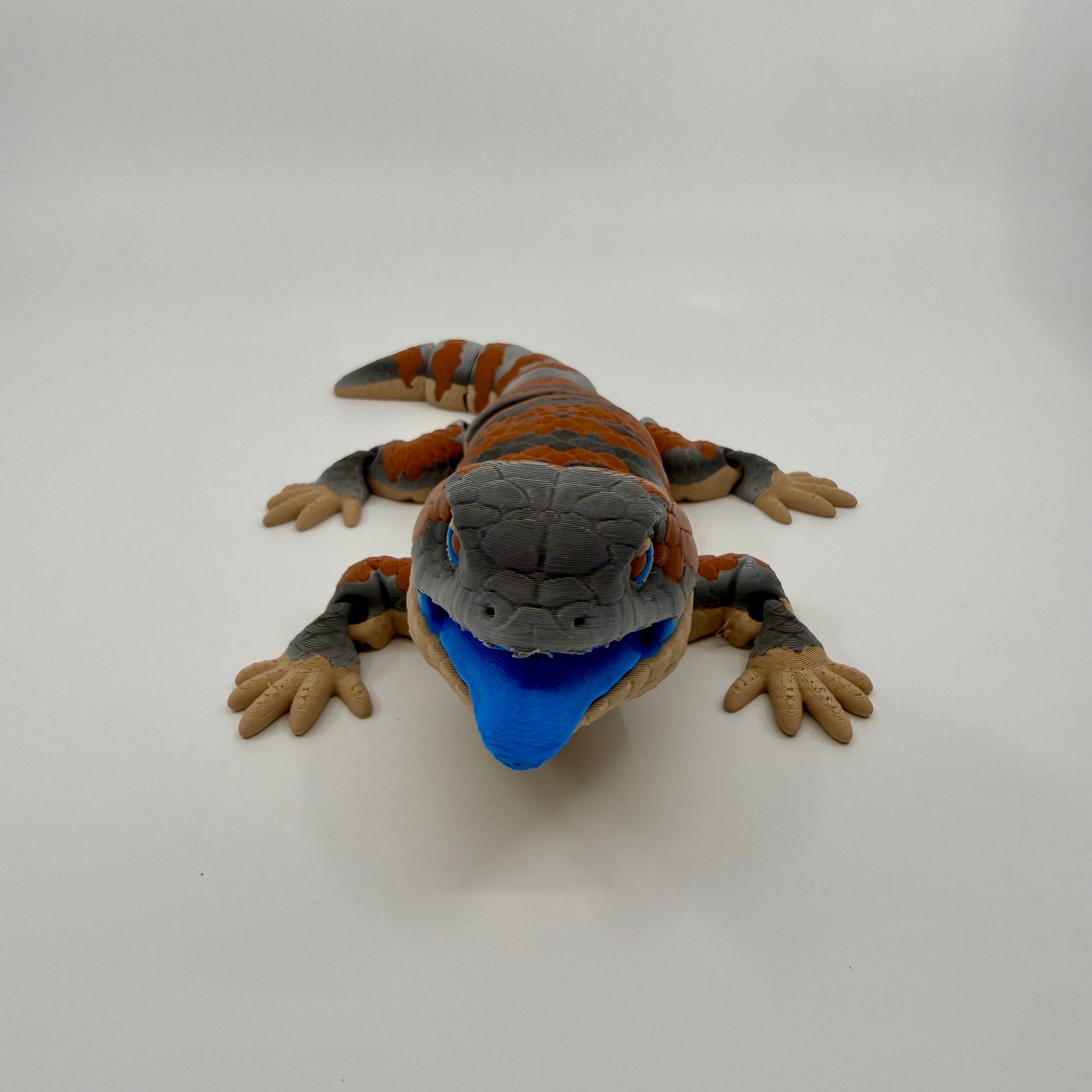 Blue Tongue Lizard