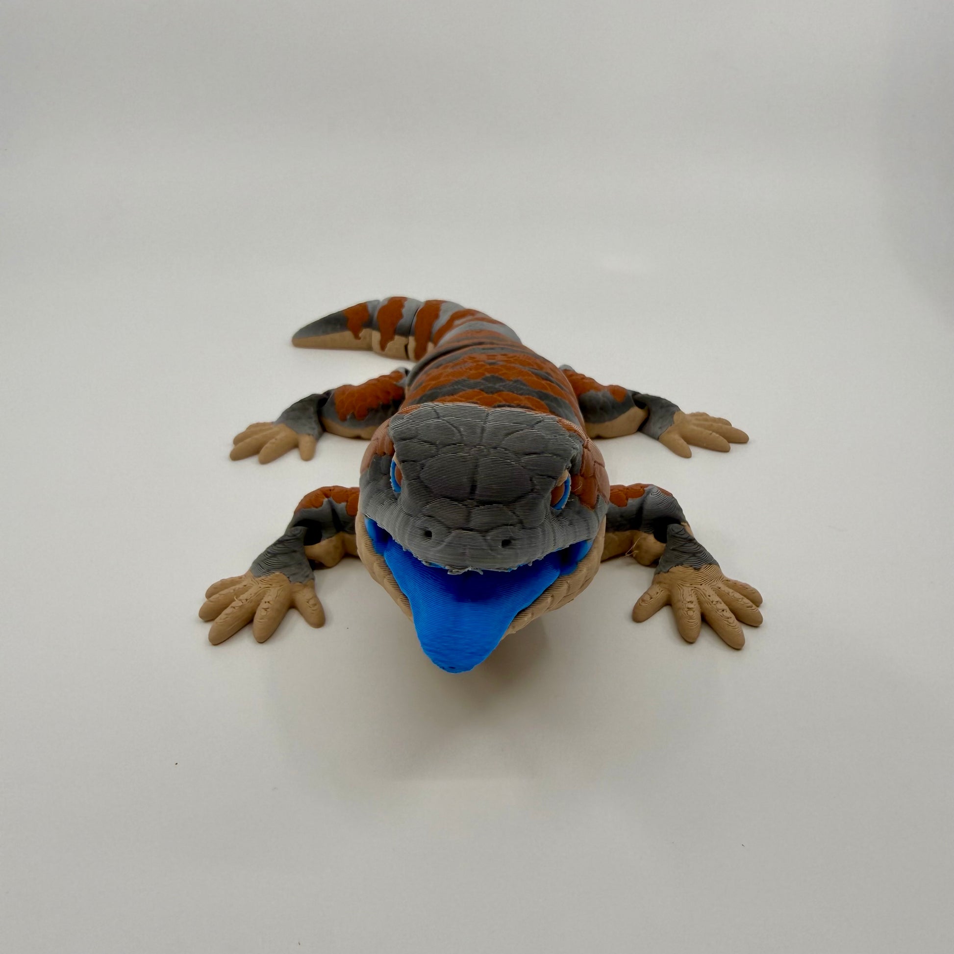 Blue Tongue Lizard