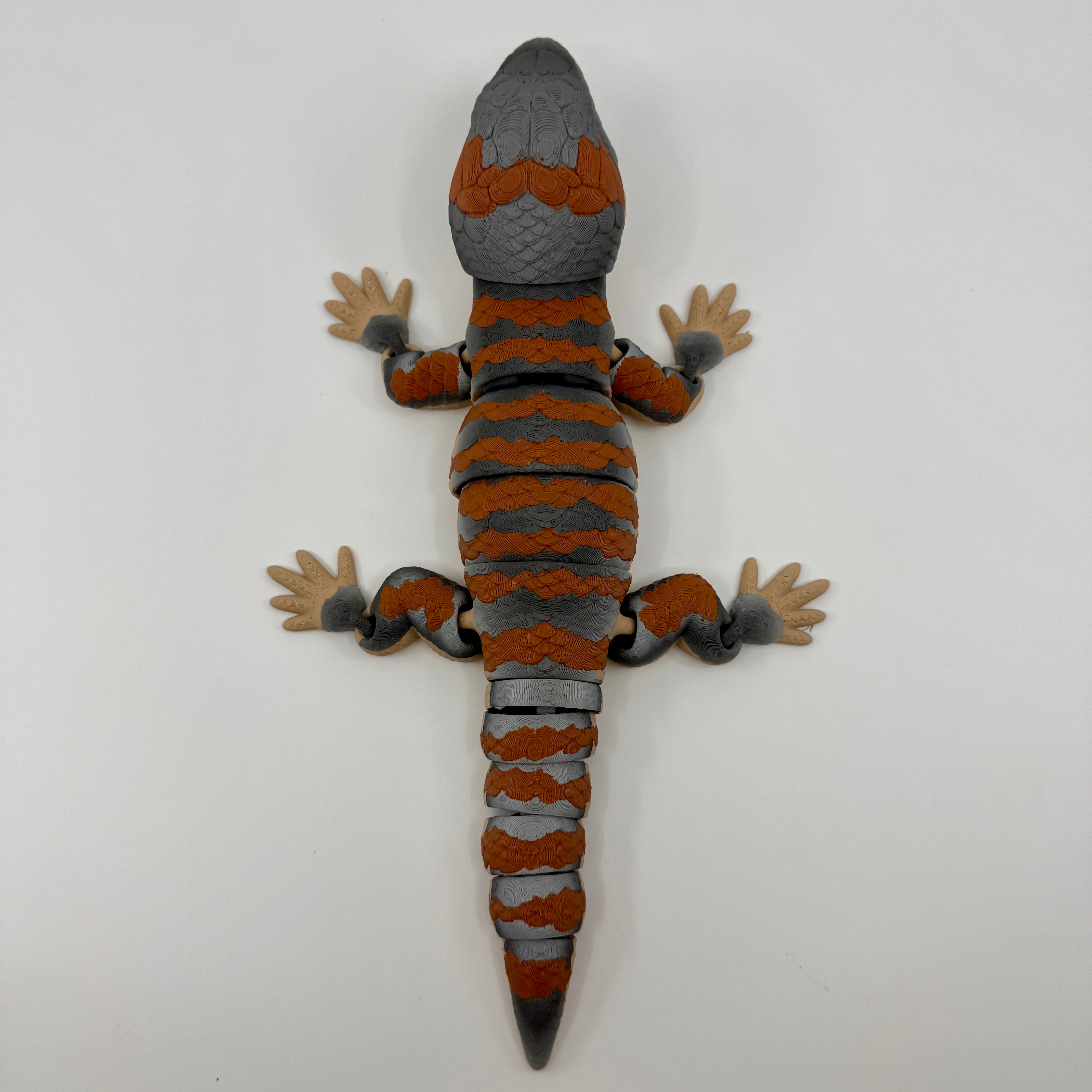 Blue Tongue Lizard