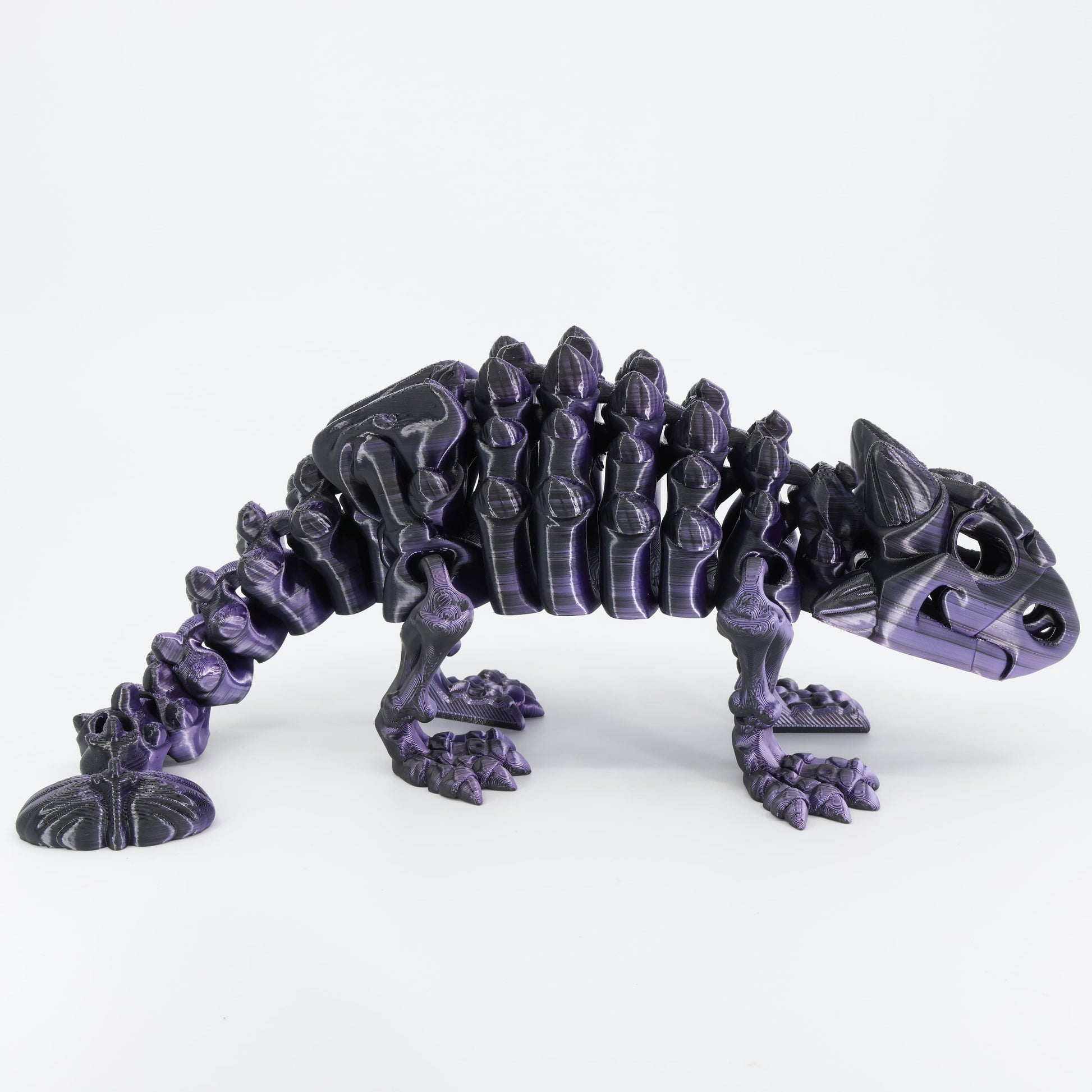 Side view of the Australian made articulated Ankylosaurus skeleton, emphasizing the low profile and flexi spine movement.