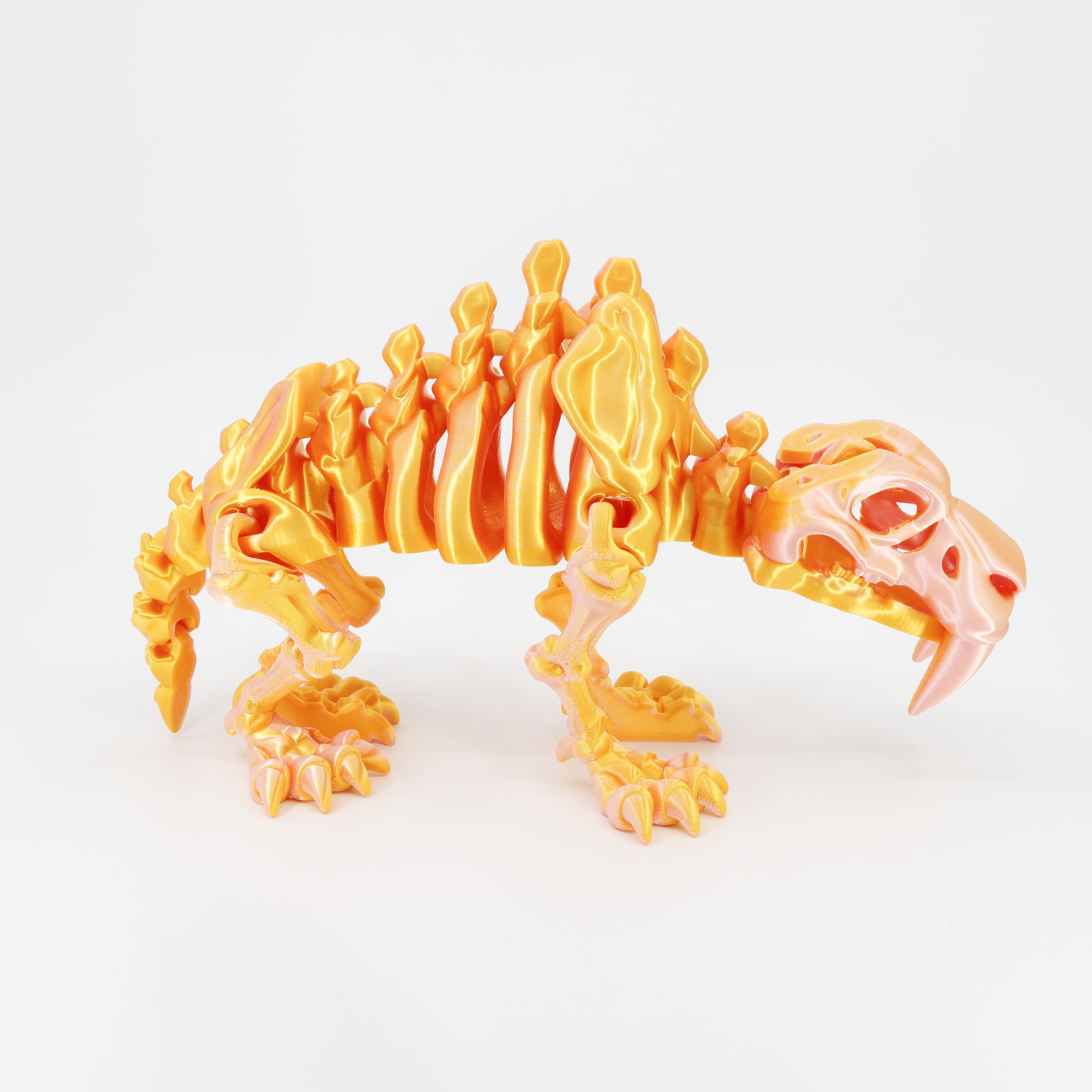 Side view of the Australian made articulated sabertooth skeleton, emphasizing the standing posture and flexi spine.