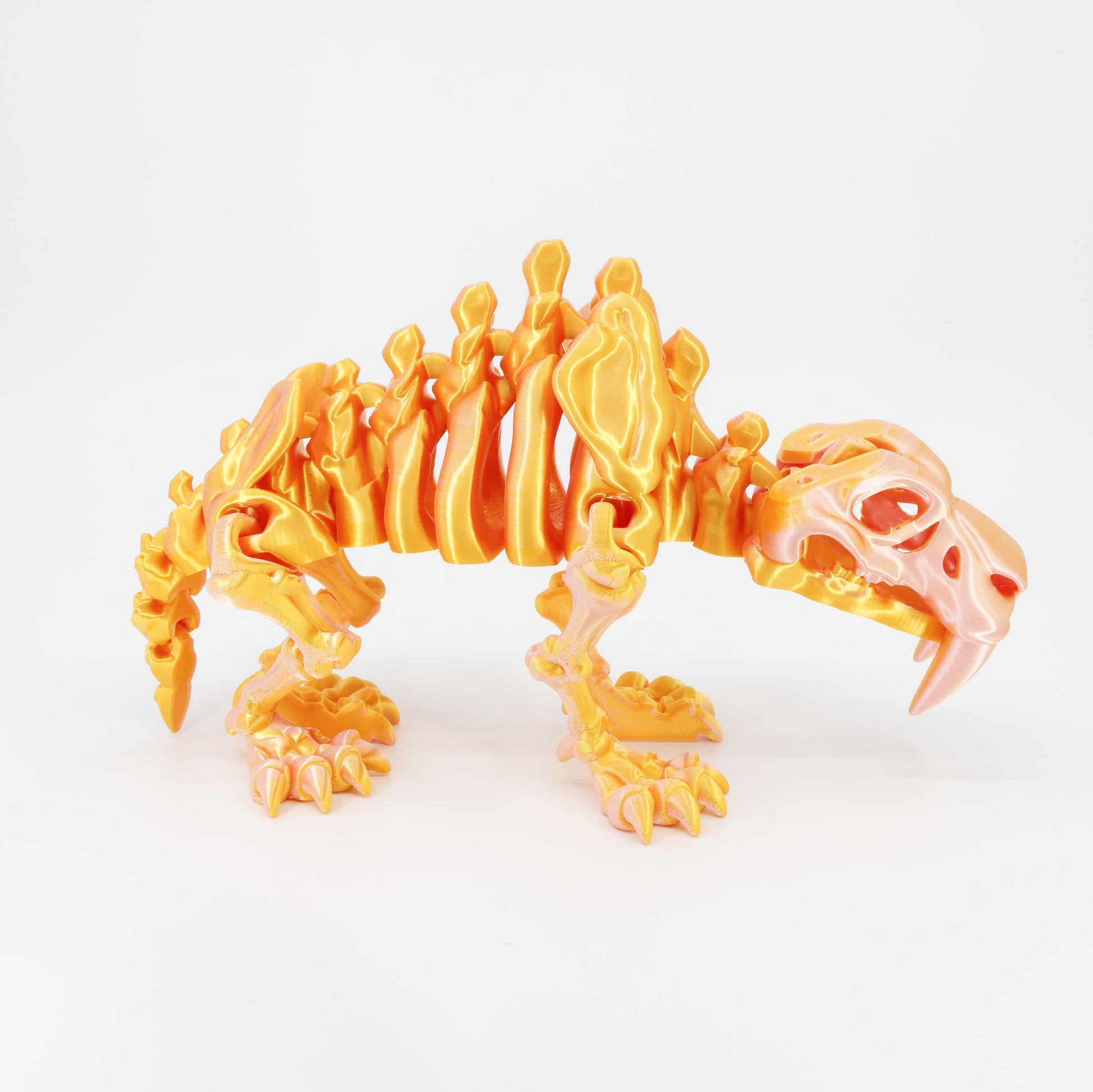 Side view of the Australian made articulated sabertooth skeleton, emphasizing the standing posture and flexi spine.