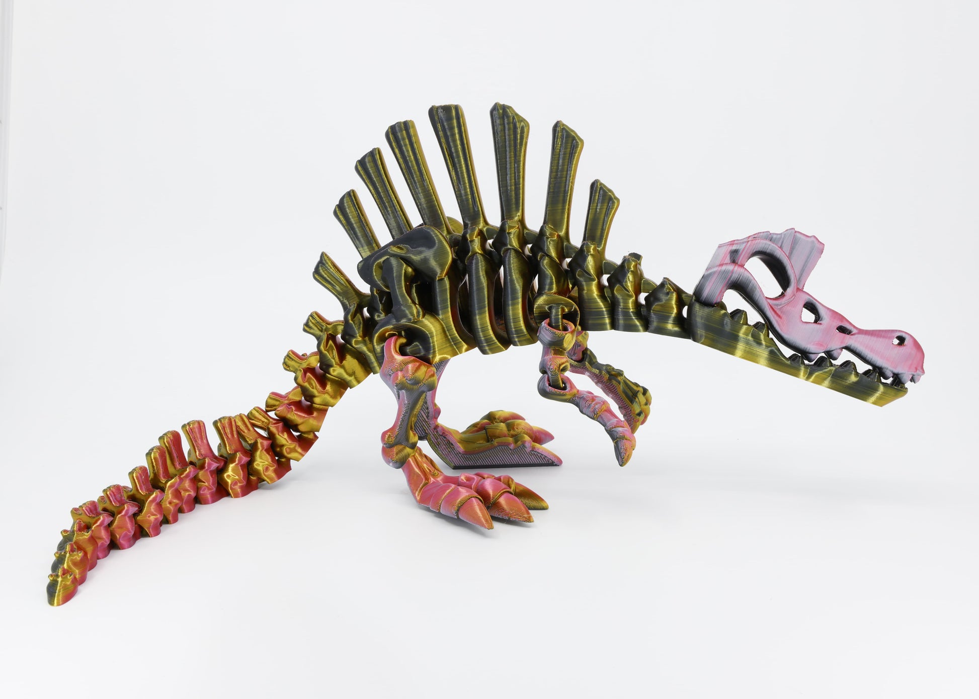 Side view of the Australian made articulated Spinosaurus skeleton, emphasizing the segmented sail and the flexi spine for sensory movement.