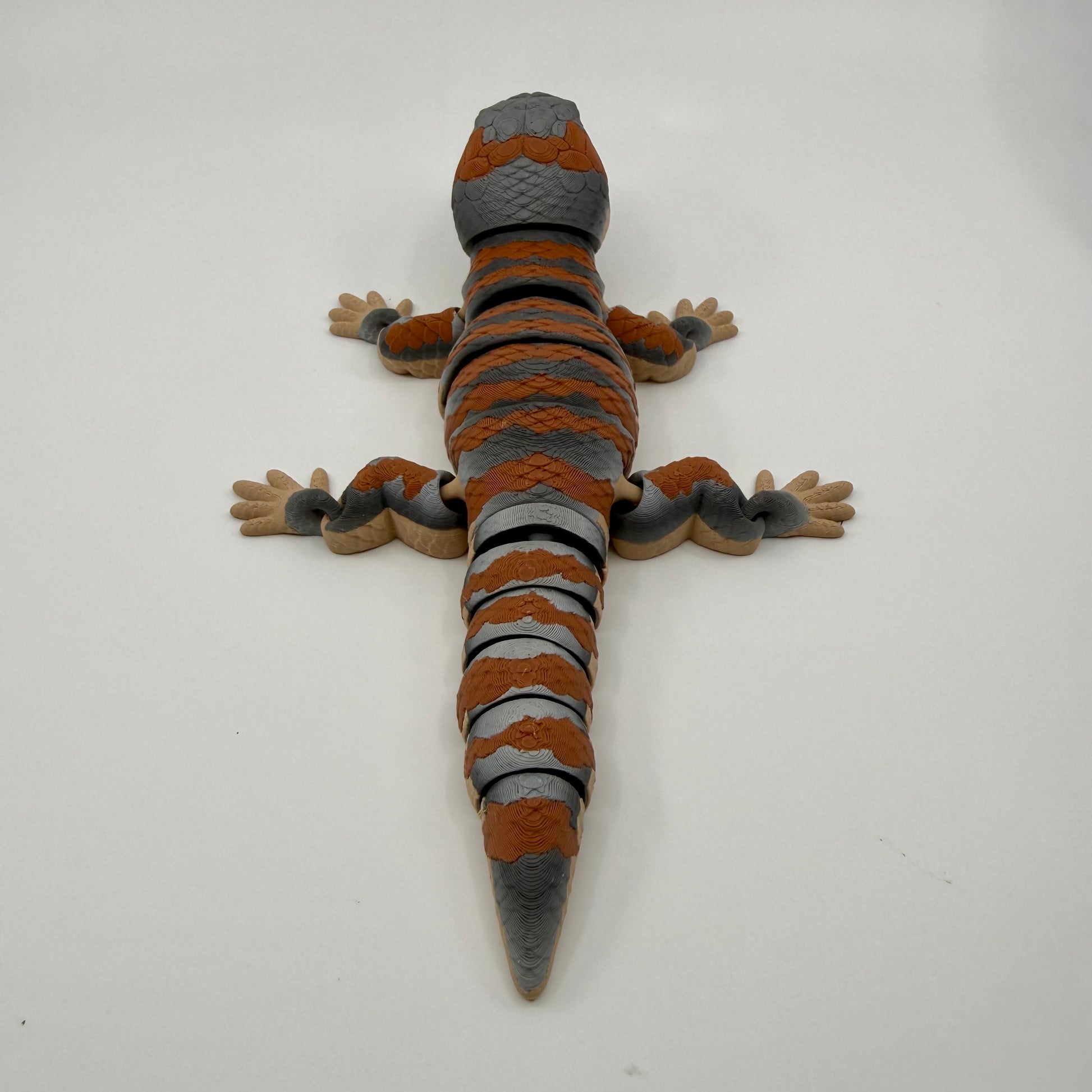 Blue Tongue Lizard