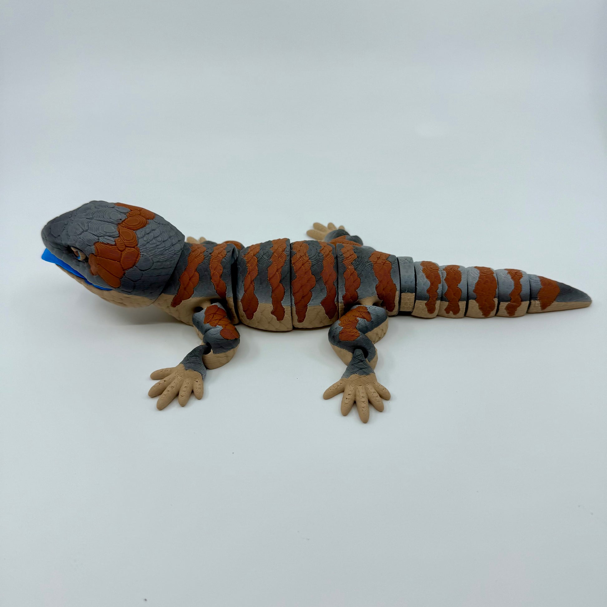 Blue Tongue Lizard