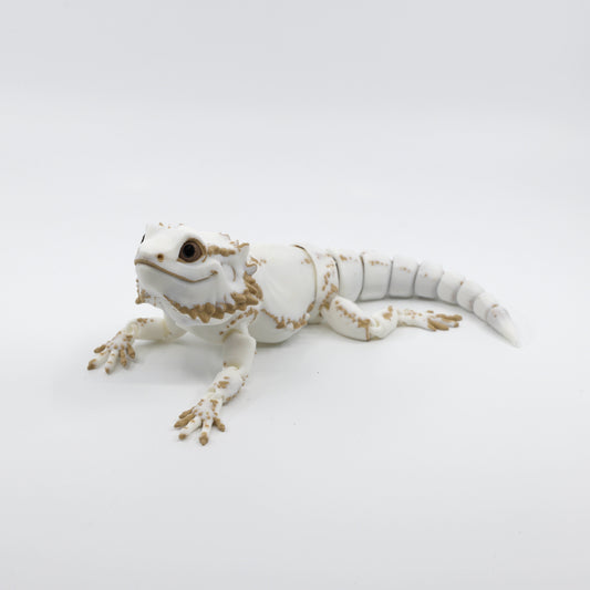 Bearded Dragon type 1  Side/Front