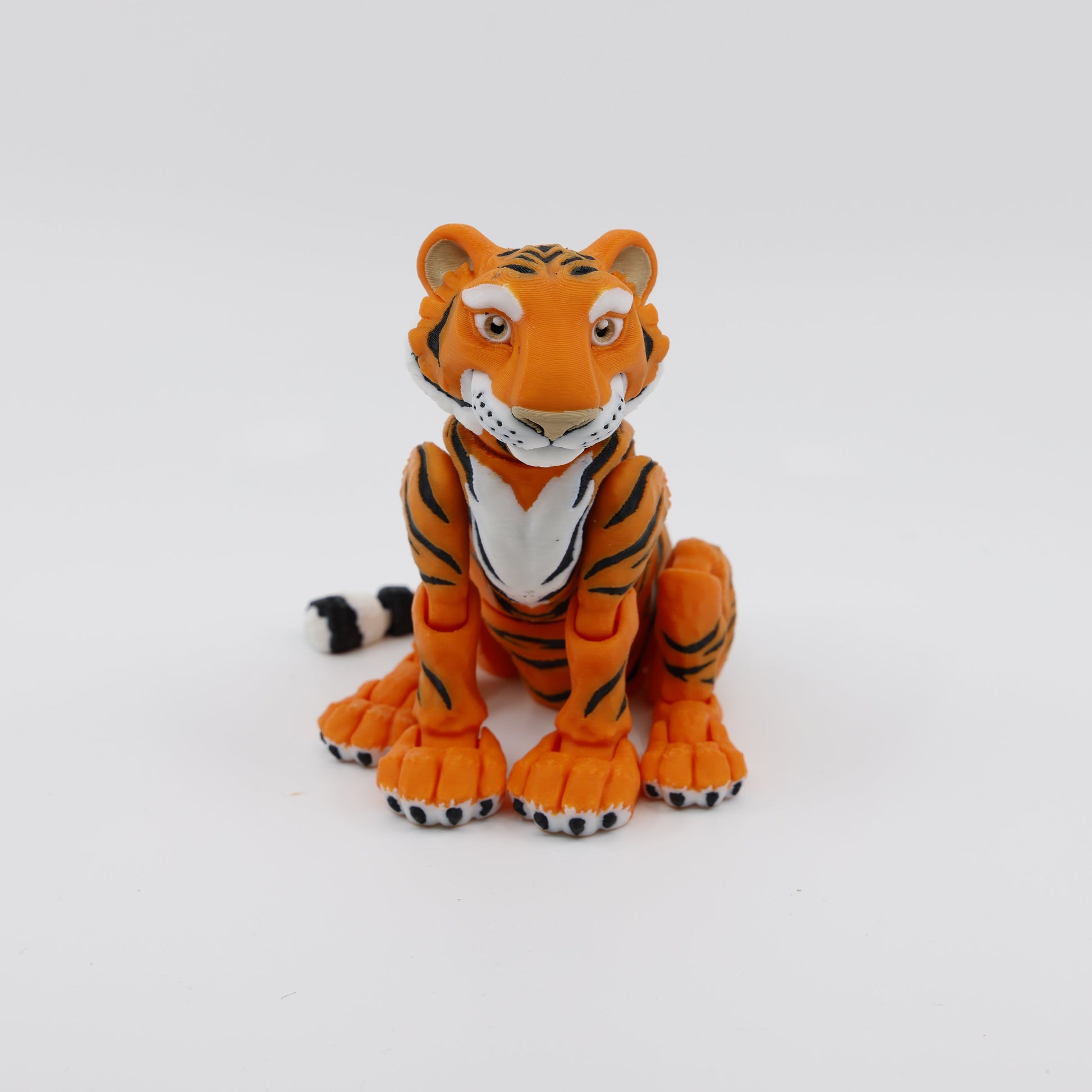 Tiger Front View
