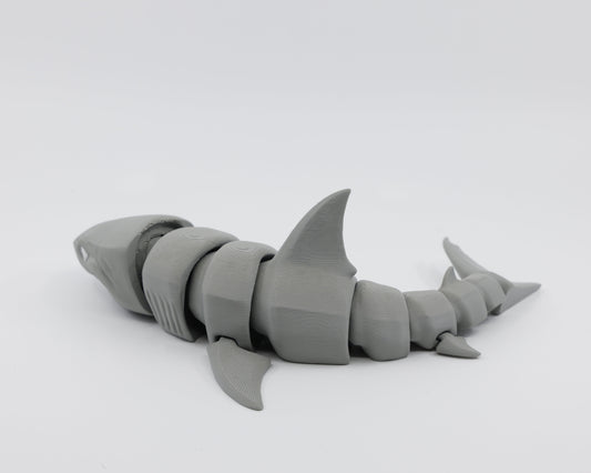 Great White Shark Grey Side