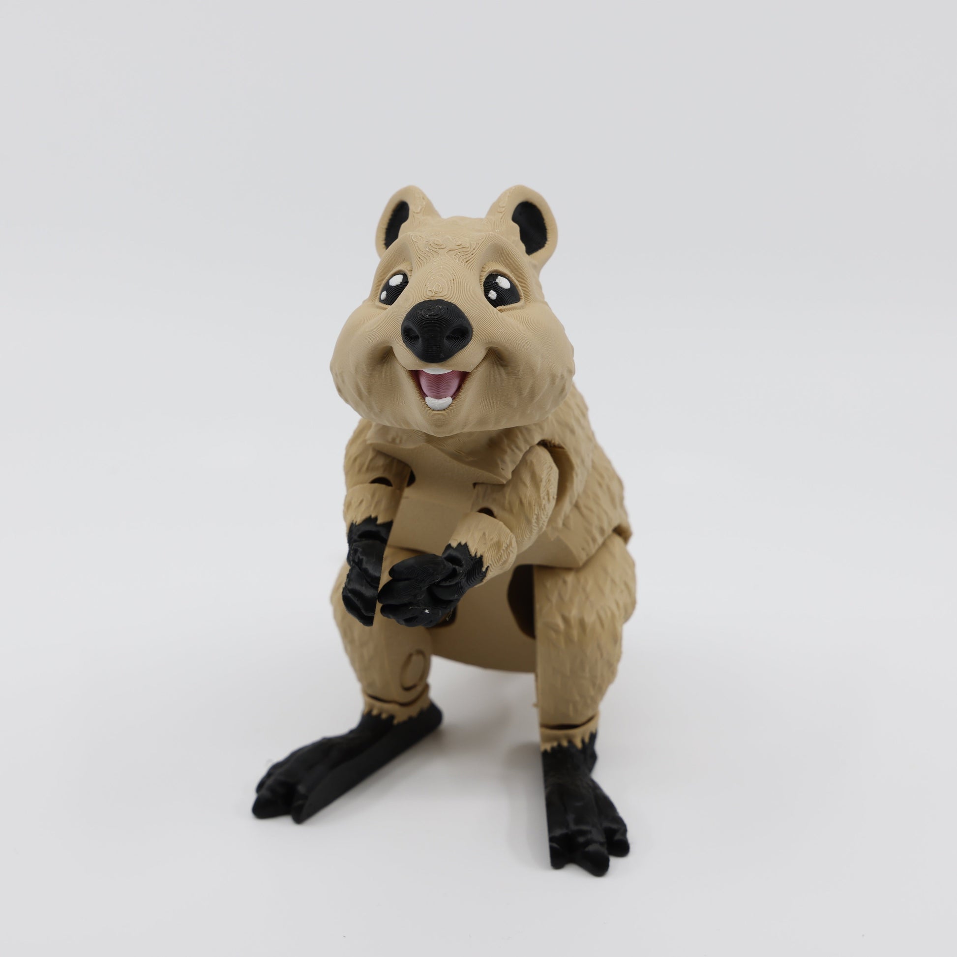 Quokka Face View
