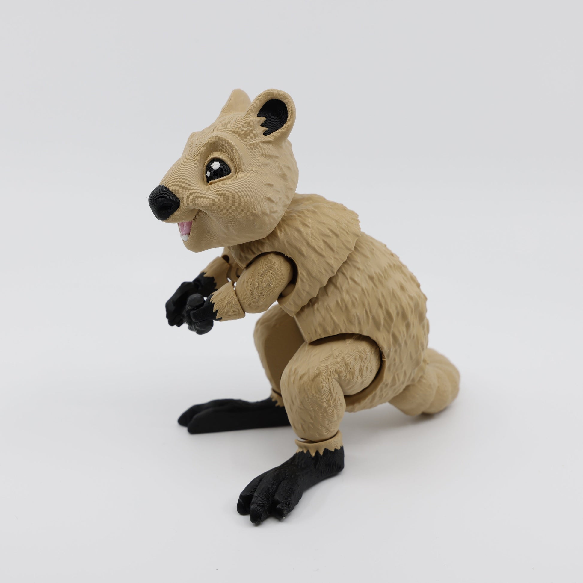 Quokka Side View