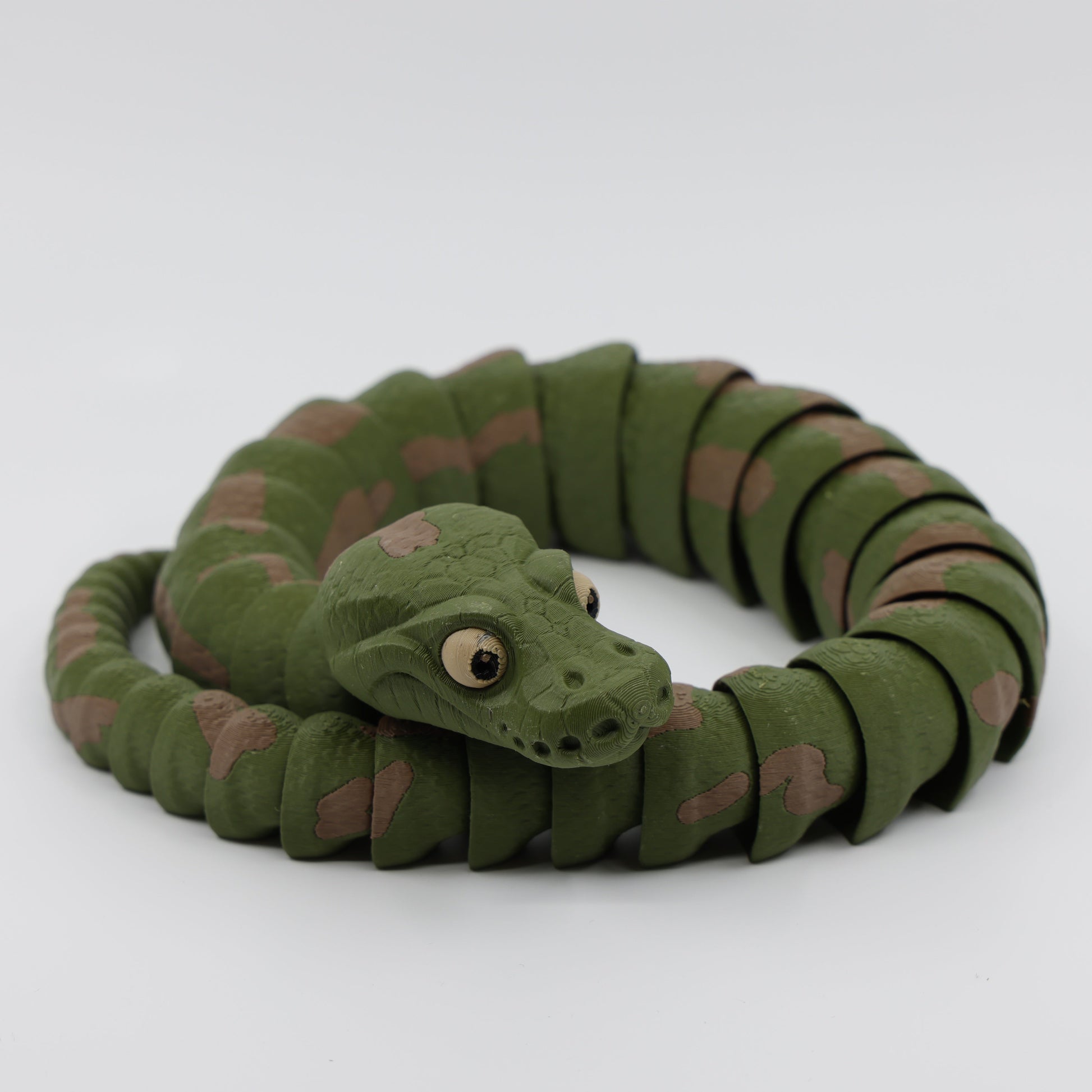 Snake Curled