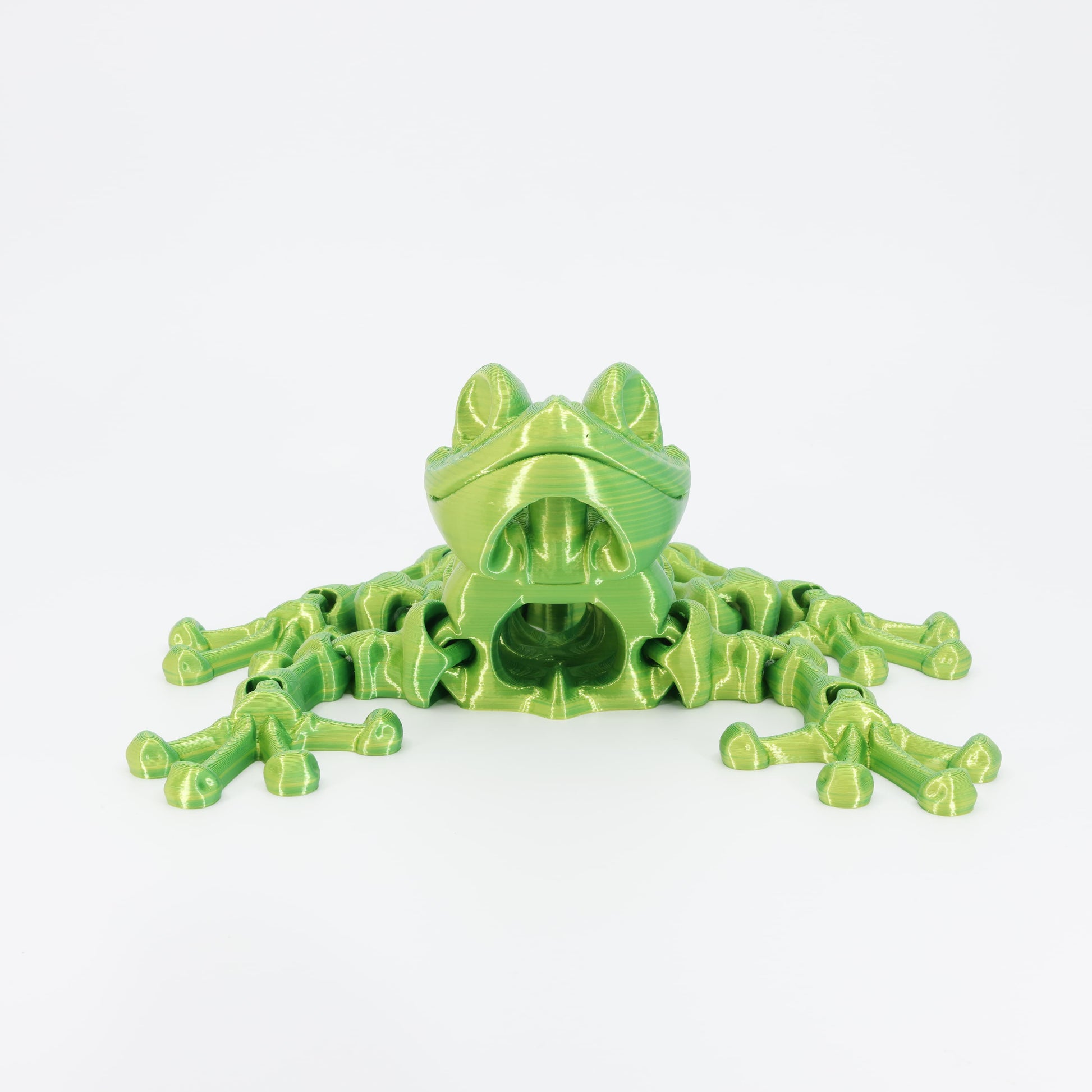 Flexi 3D printed skeleton frog toy shown from the front. Highlights the wide skeletal jaw and articulated front legs.