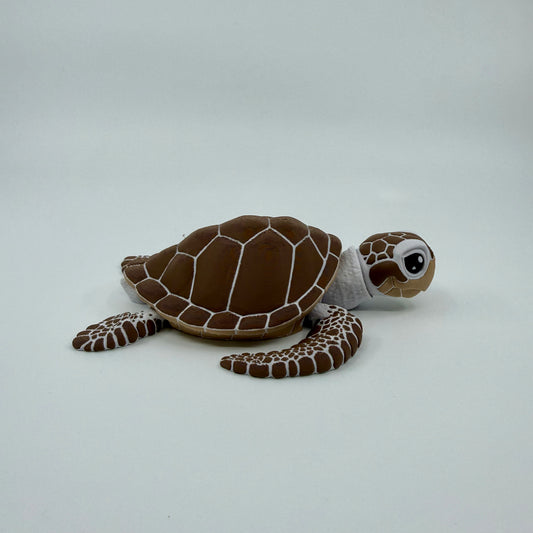 Sea Turtle