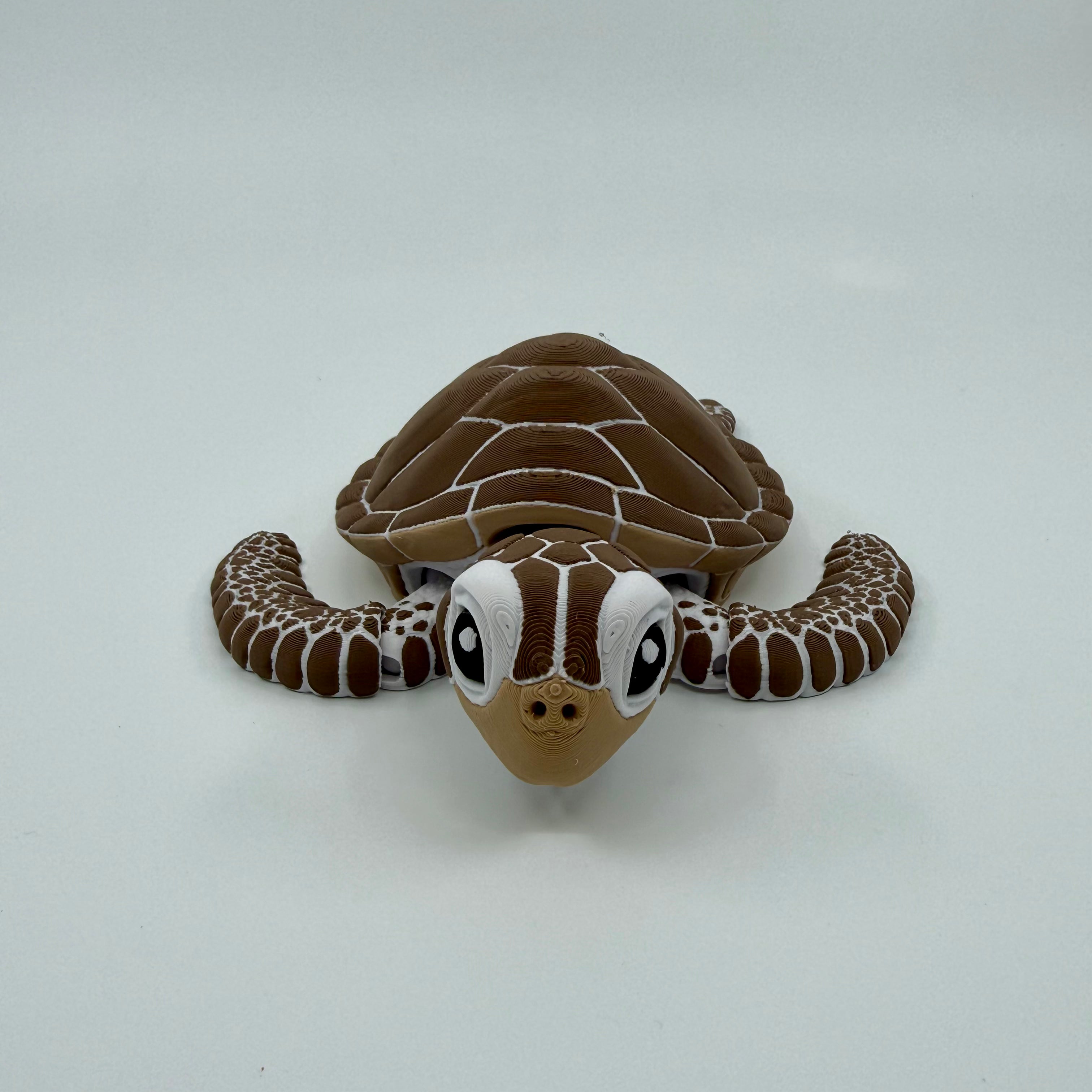 Sea Turtle