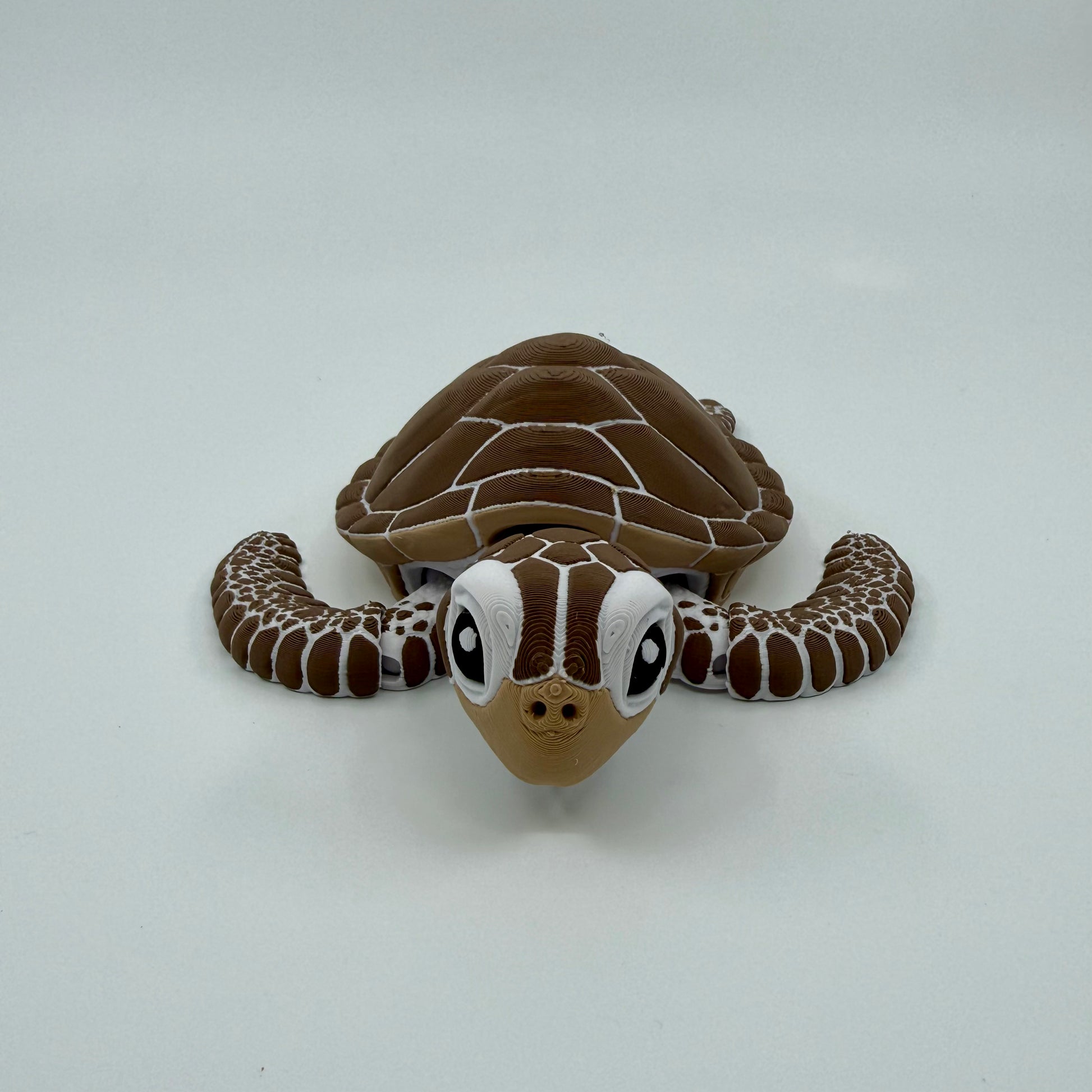 Sea Turtle