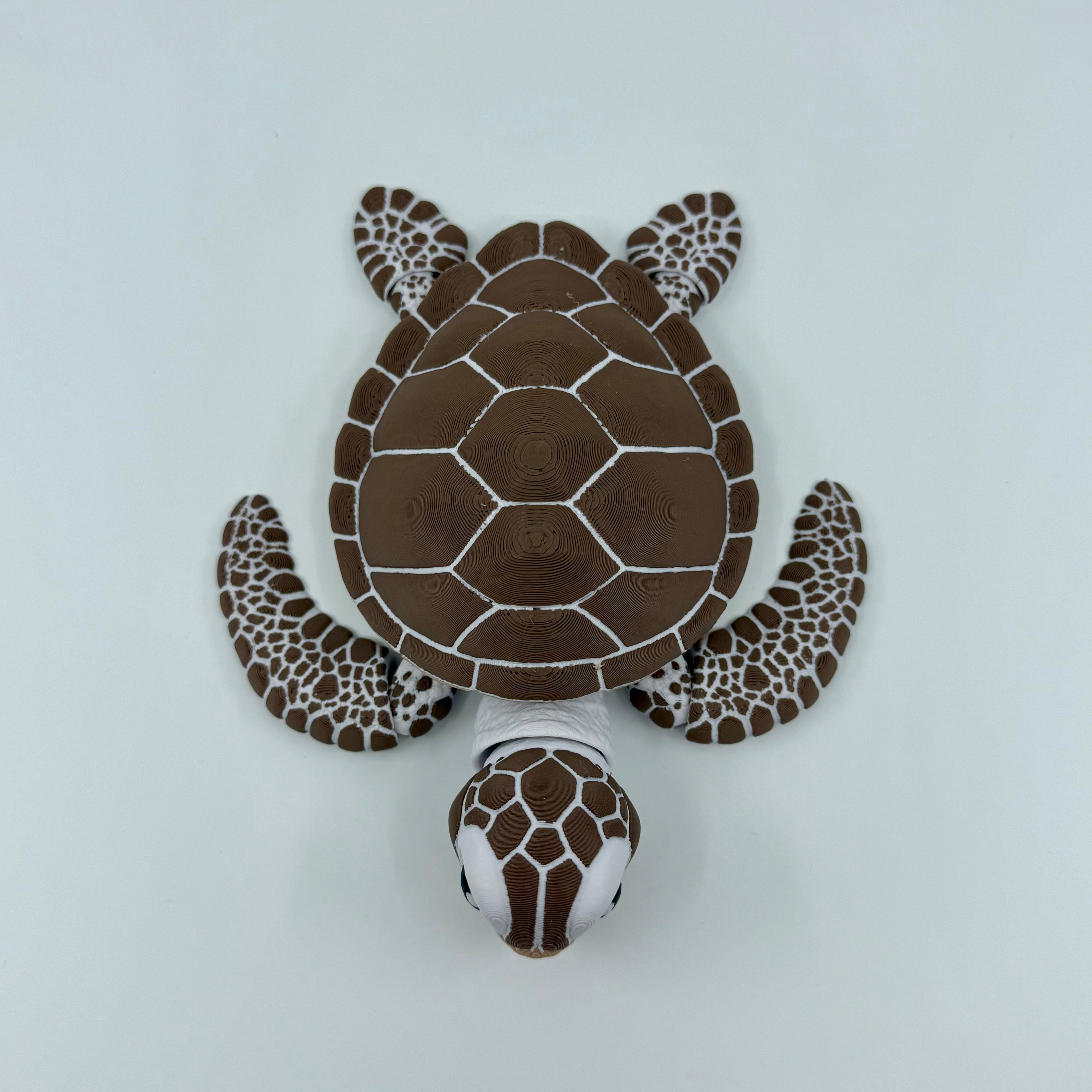 Sea Turtle