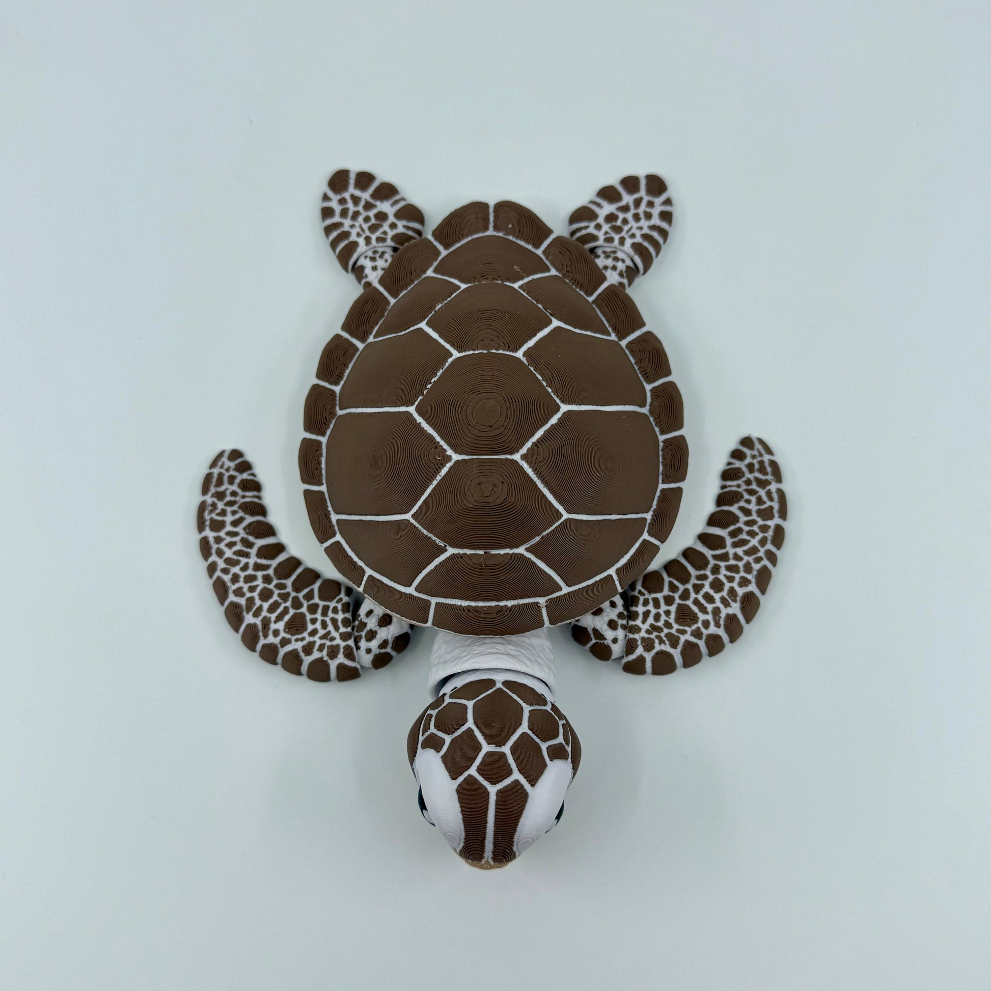 Sea Turtle