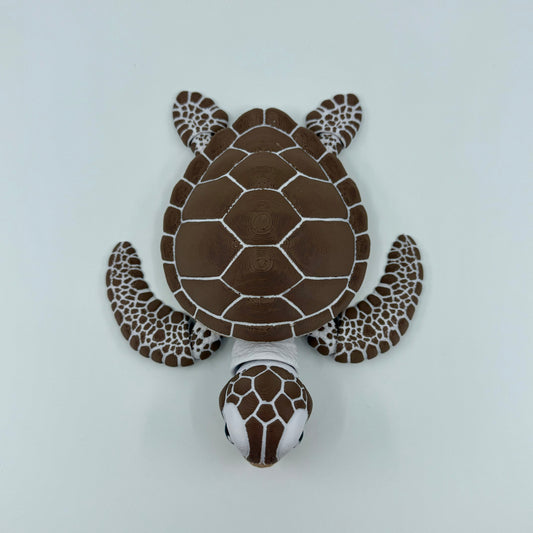 Sea Turtle