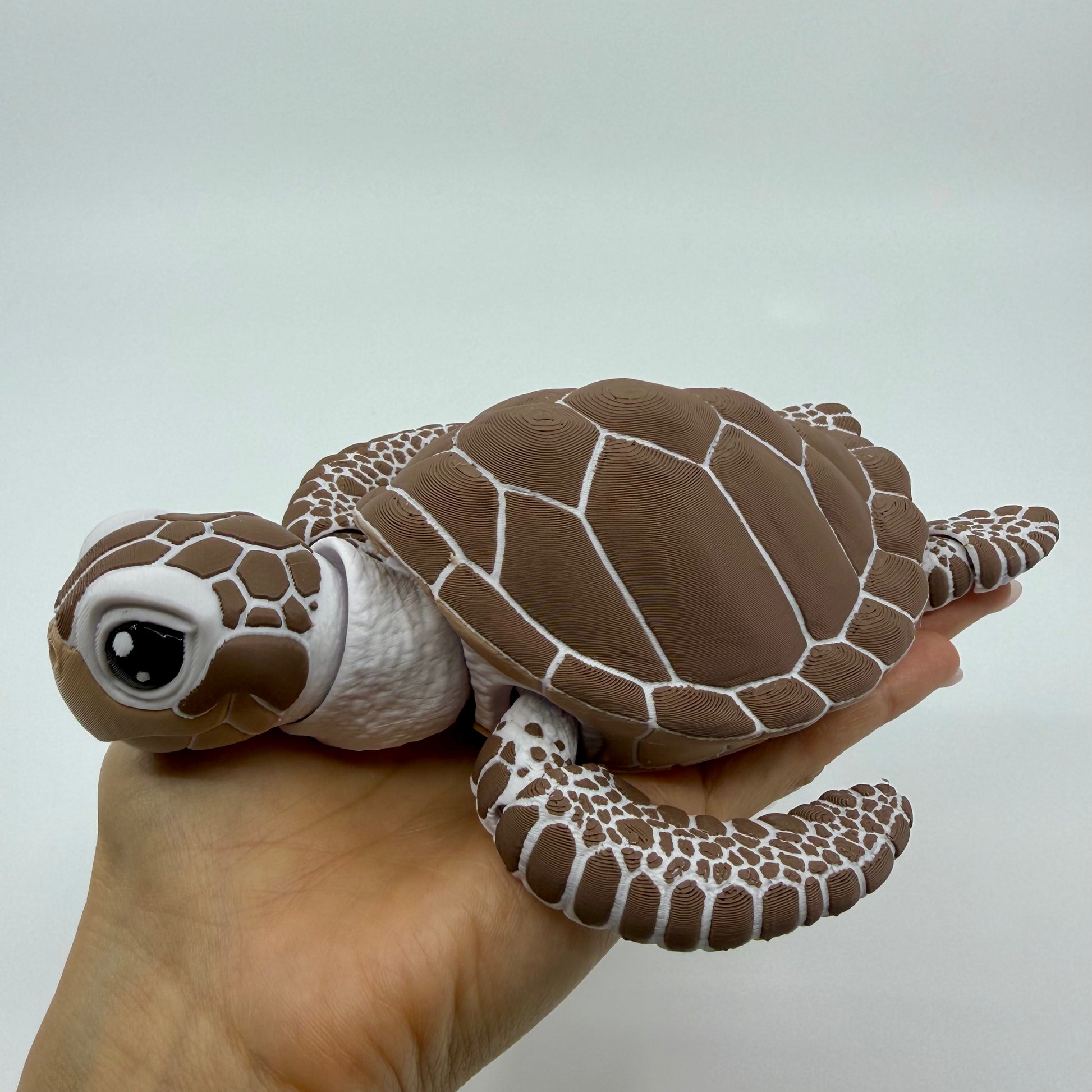 Sea Turtle