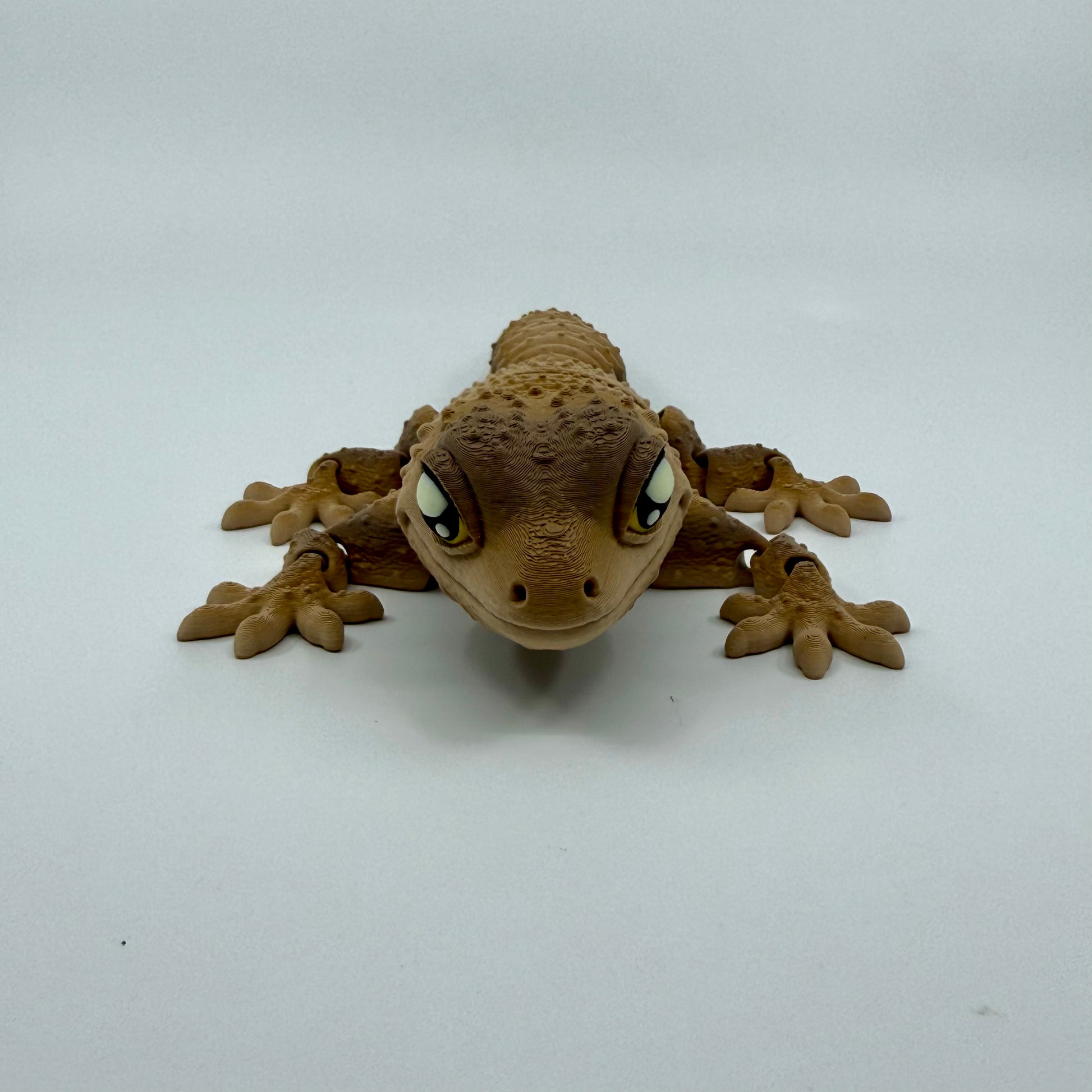 Gecko