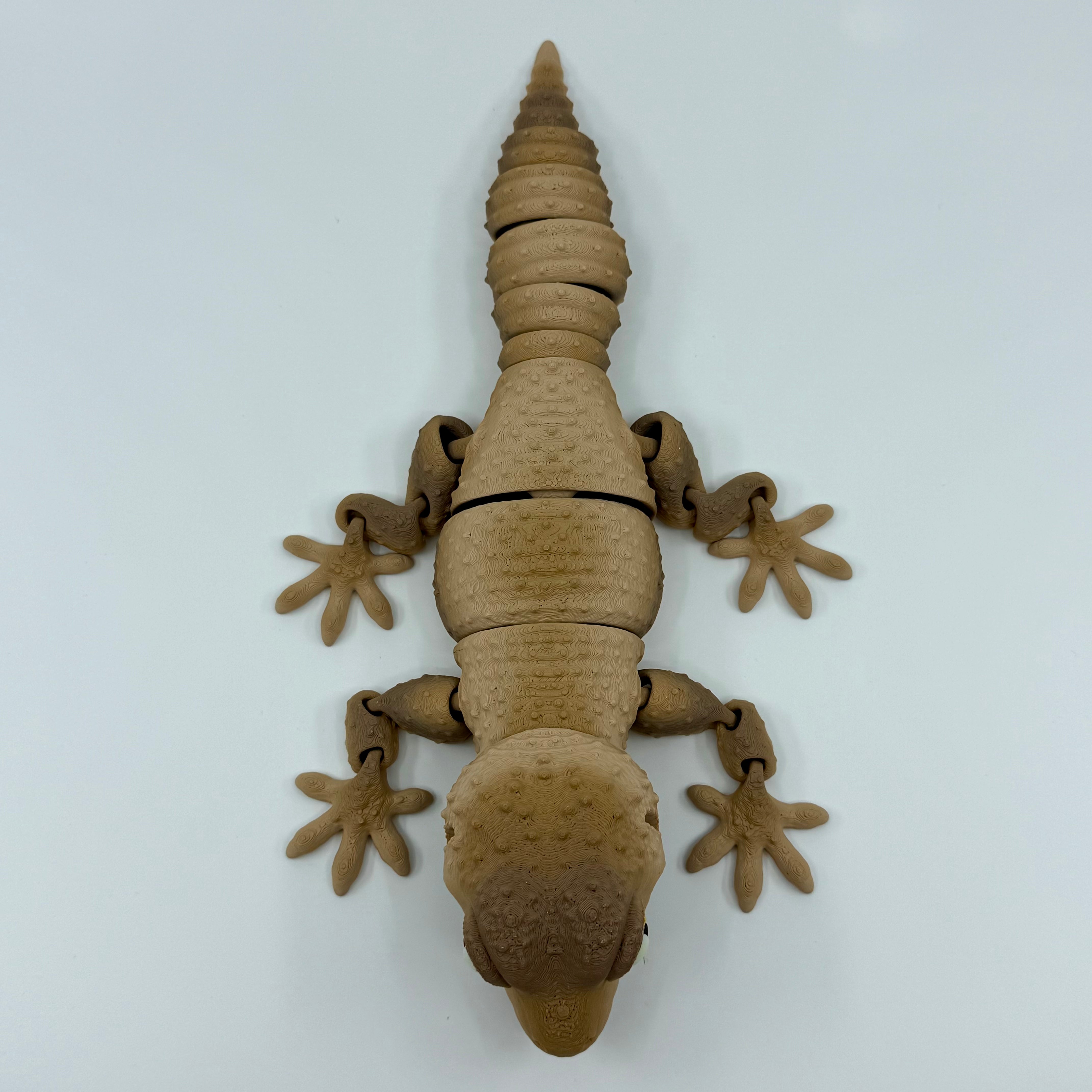 Gecko