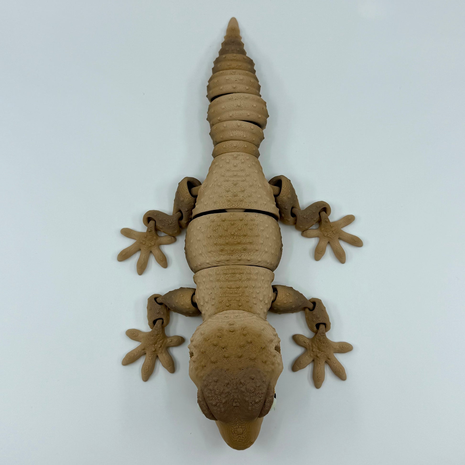 Gecko