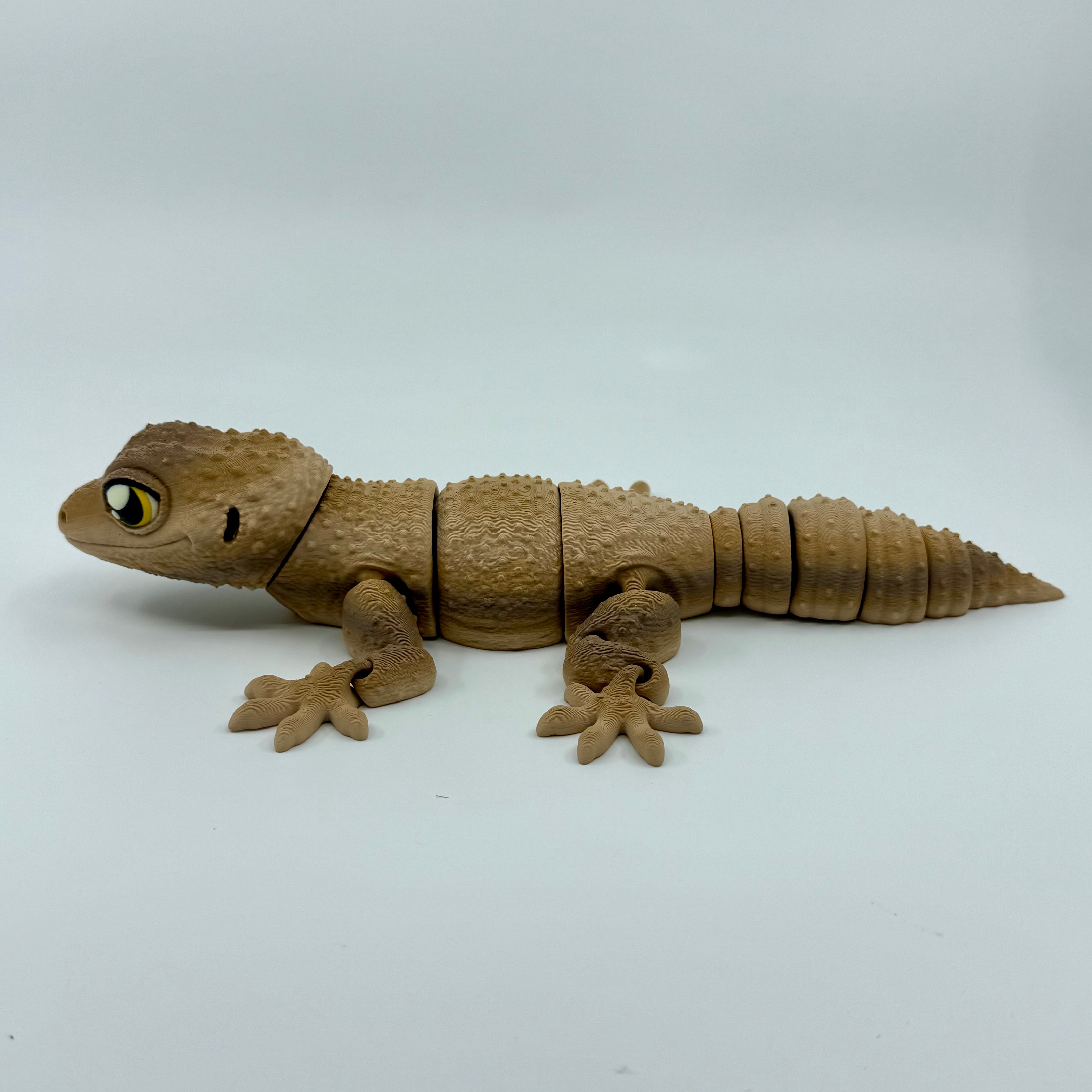 Gecko