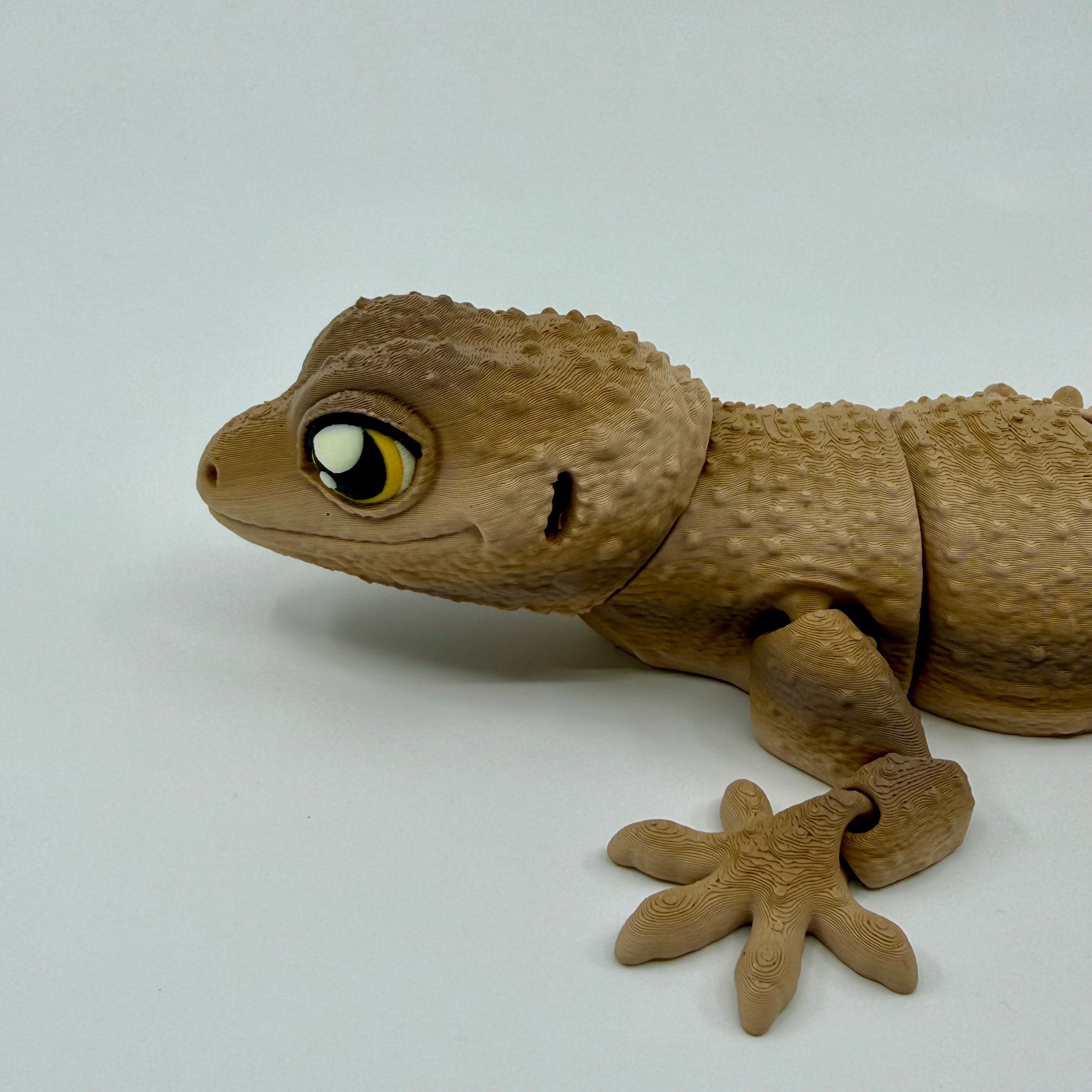 Gecko