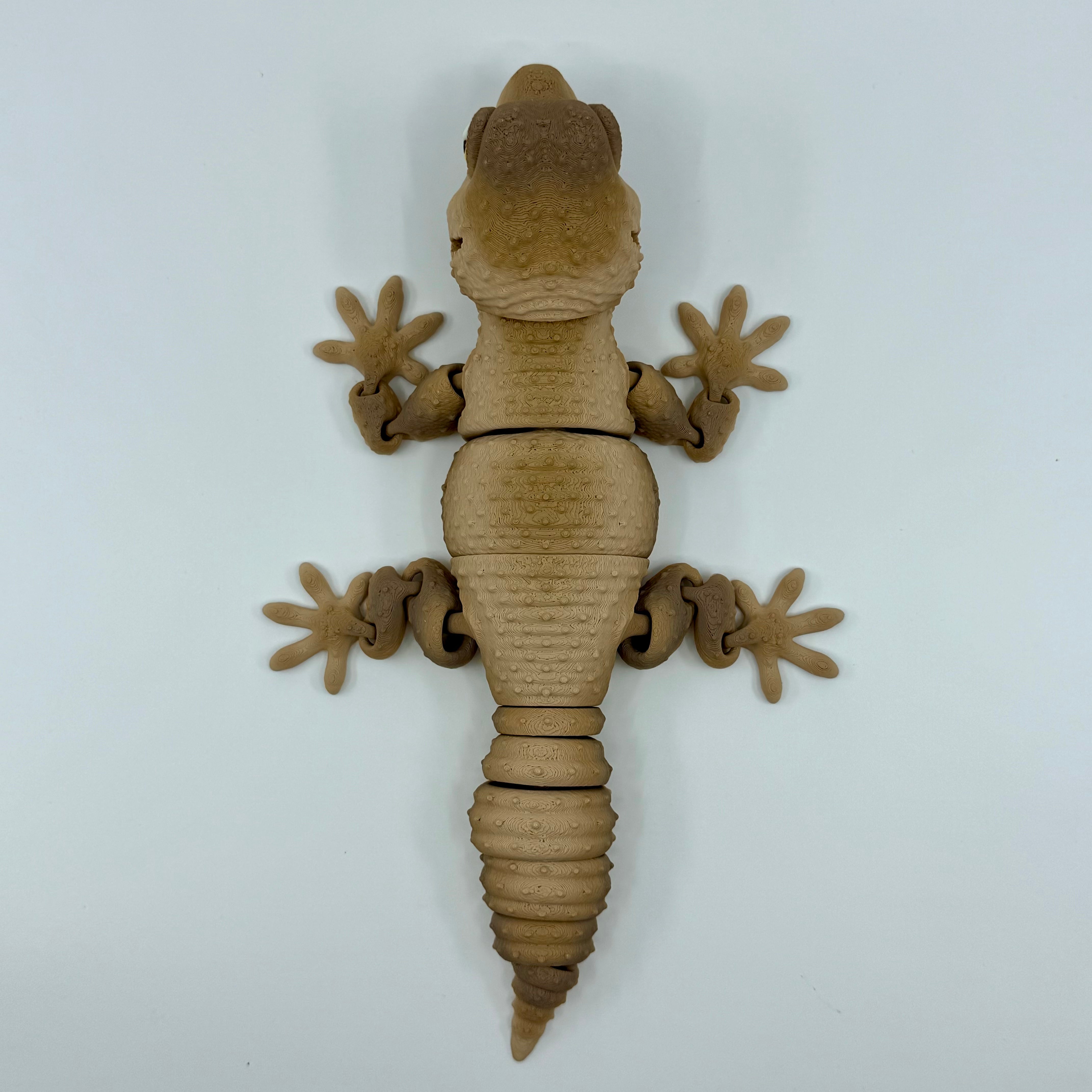 Gecko