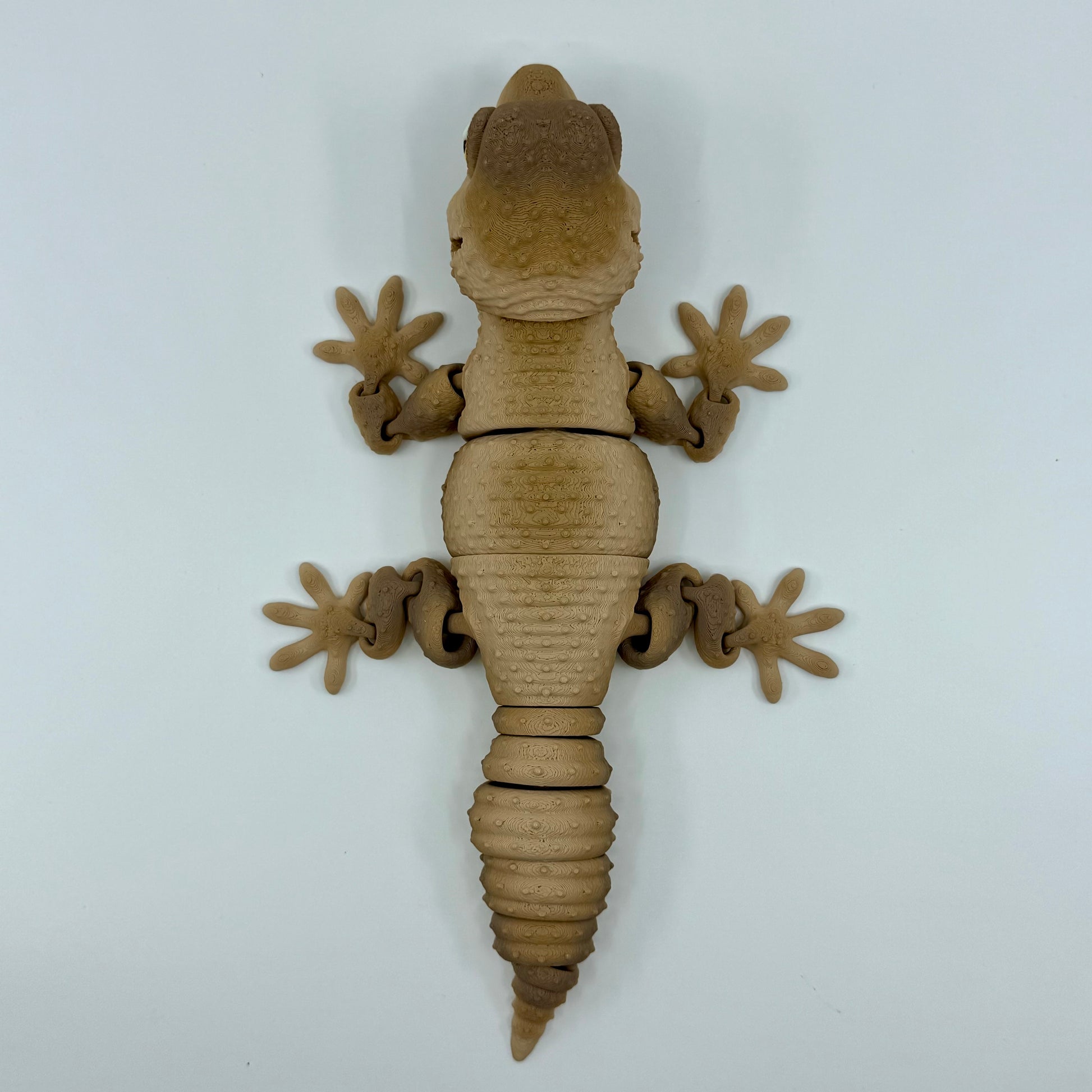Gecko