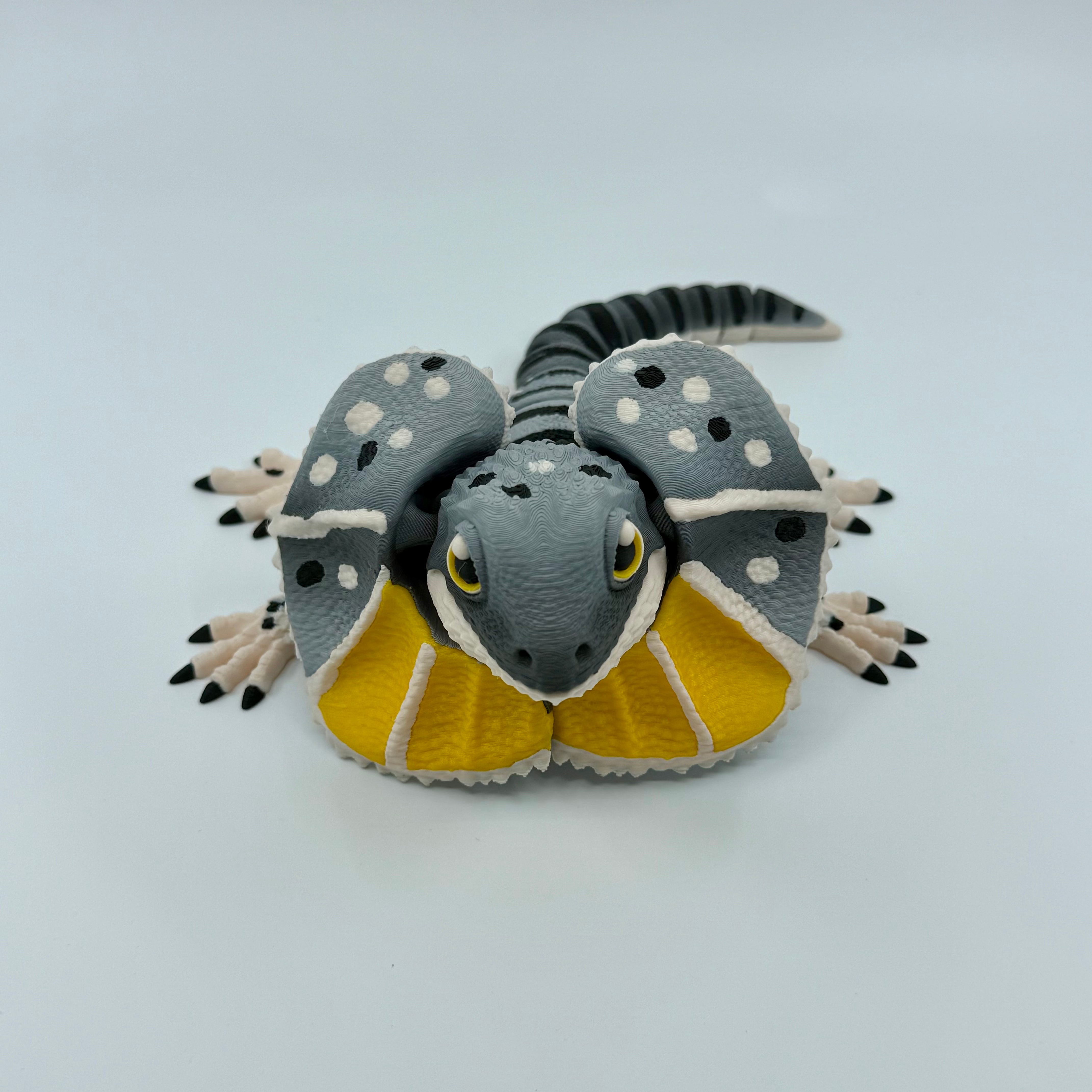 Frilled-Neck Lizard