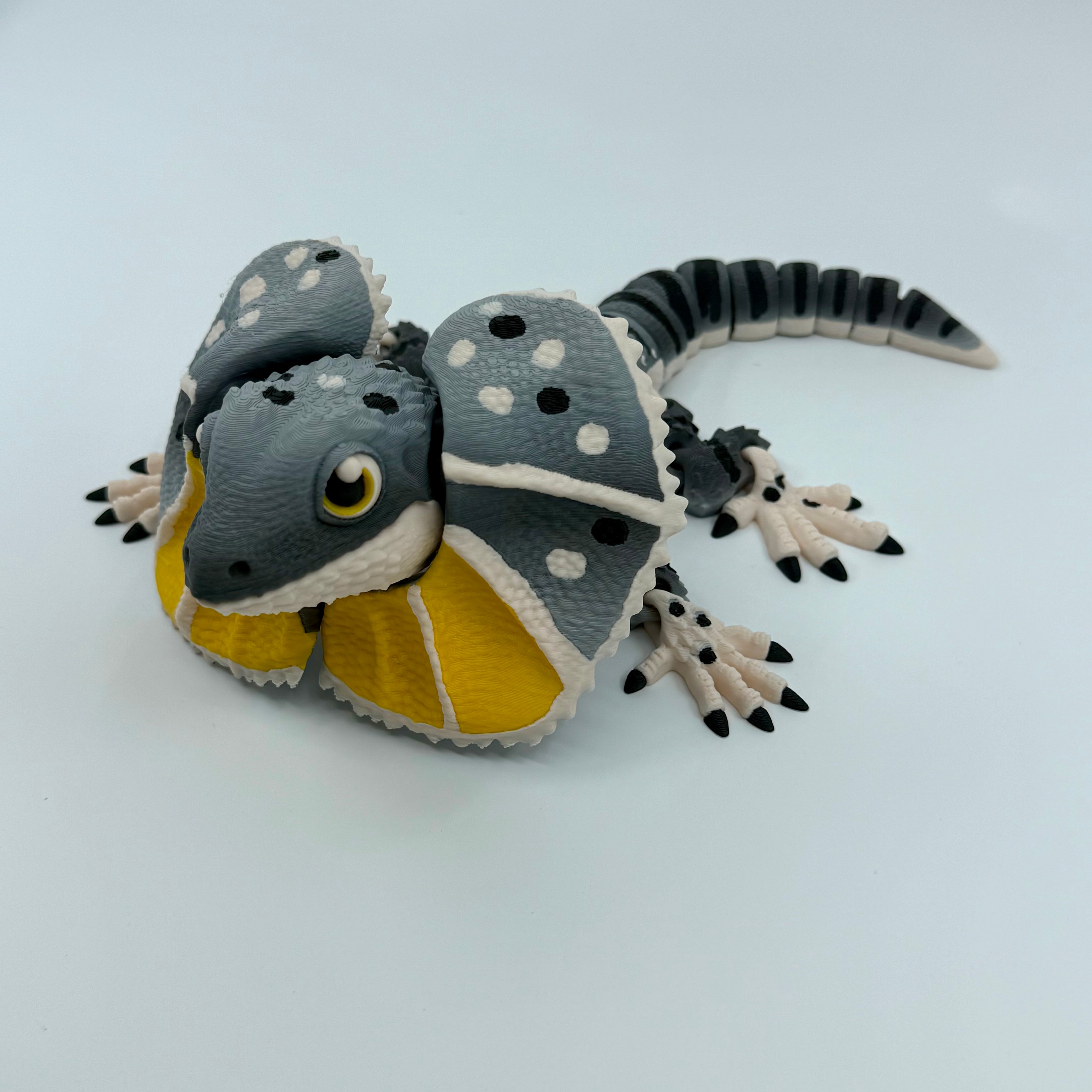 Frilled-Neck Lizard