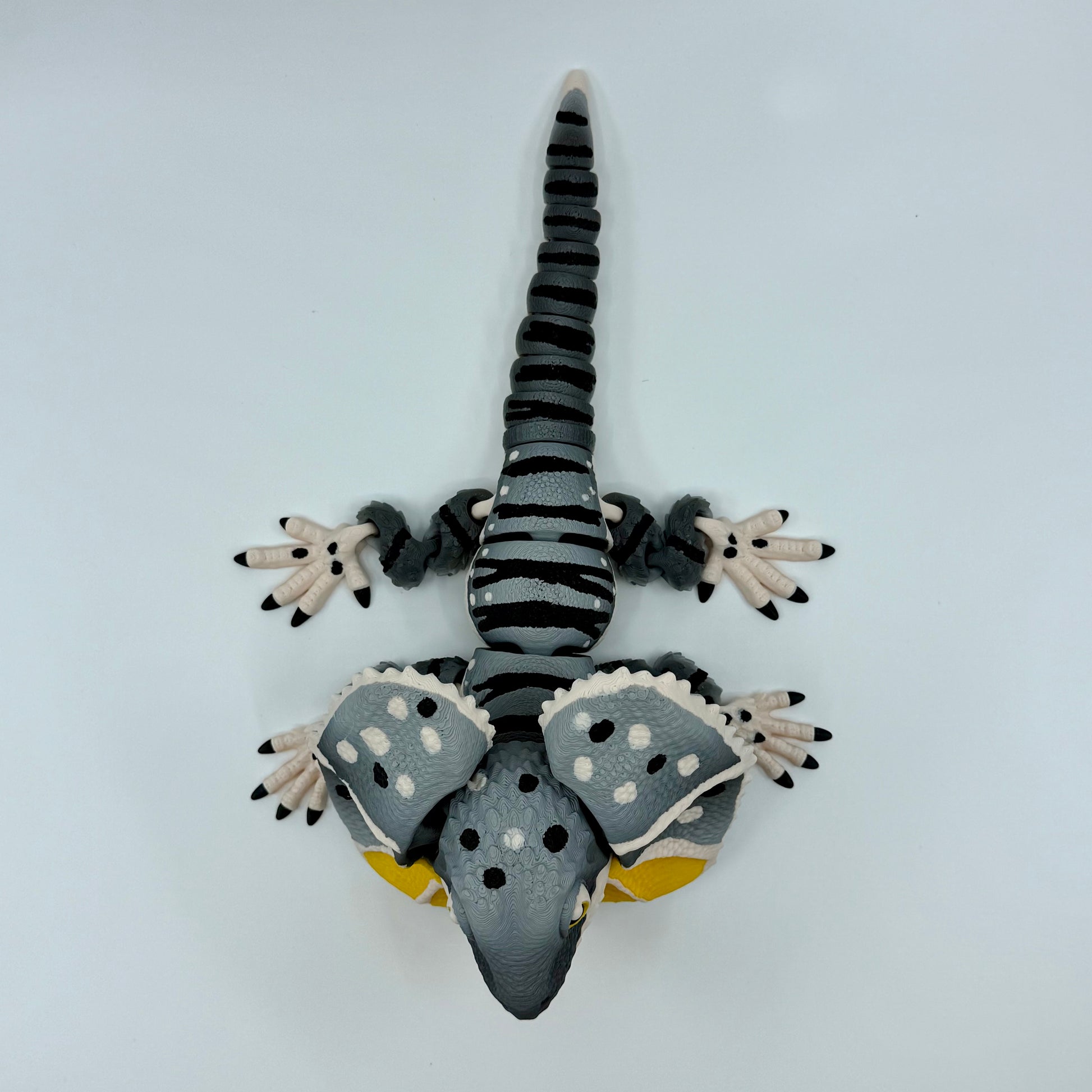 Frilled-Neck Lizard