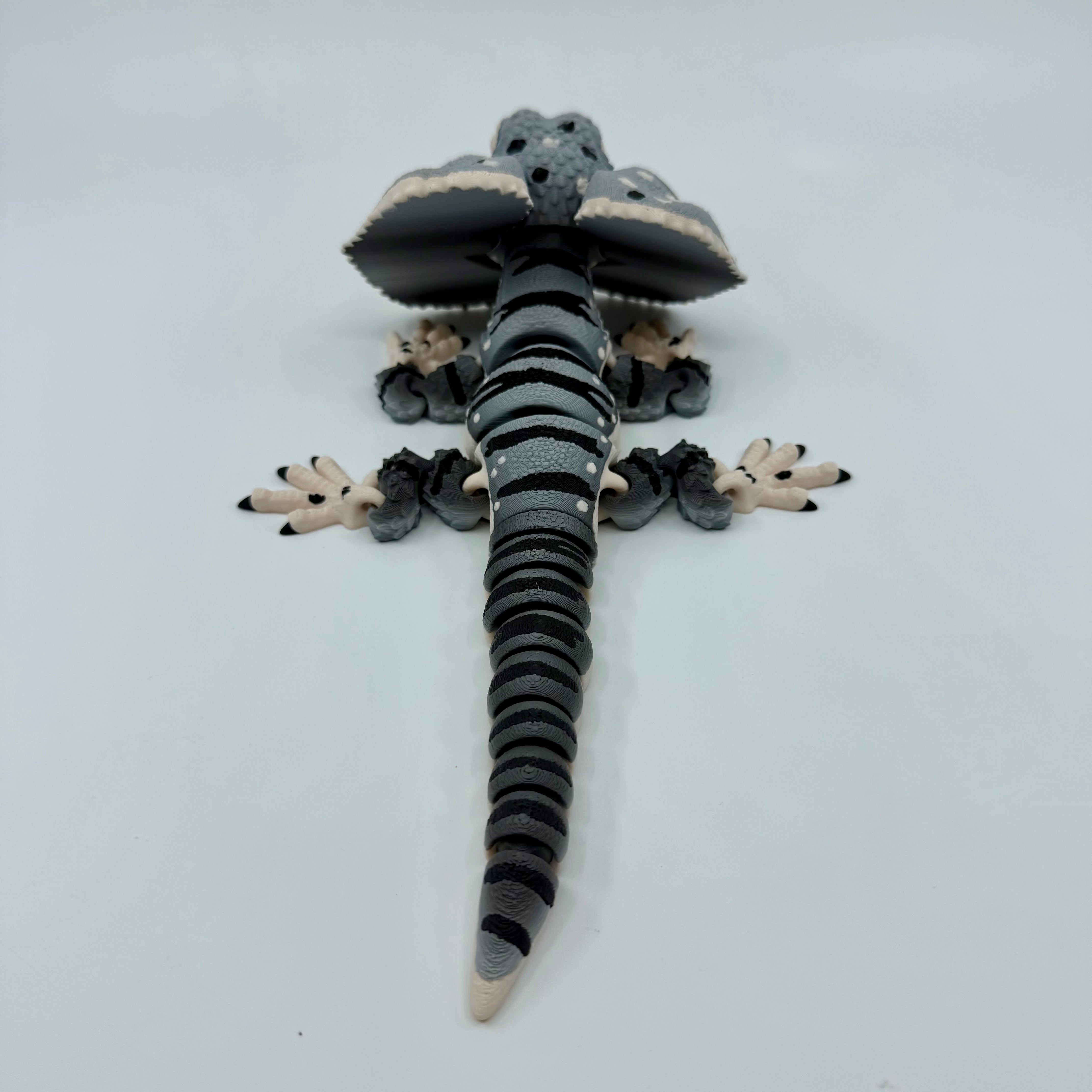 Frilled-Neck Lizard