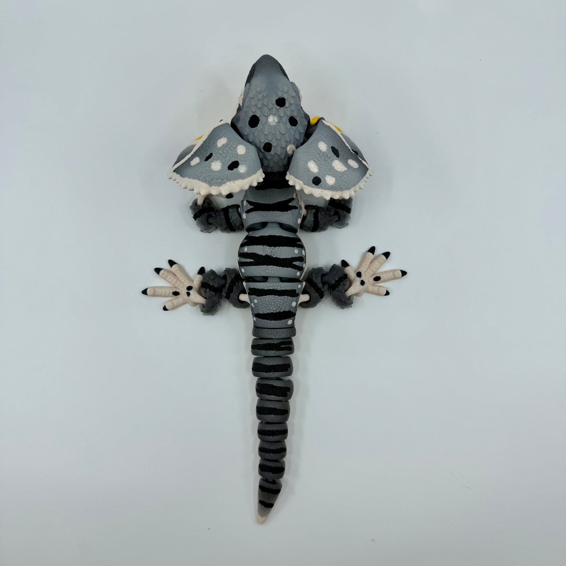 Frilled-Neck Lizard