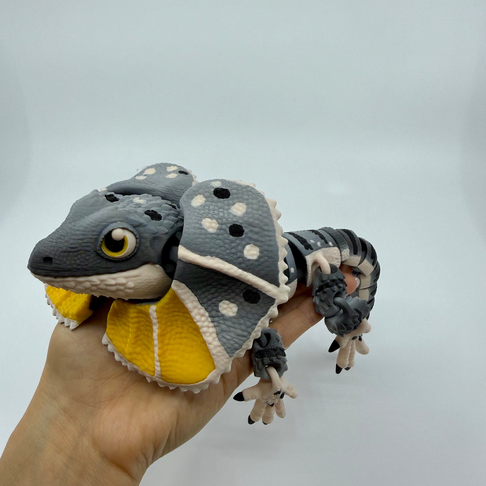 Frilled-Neck Lizard