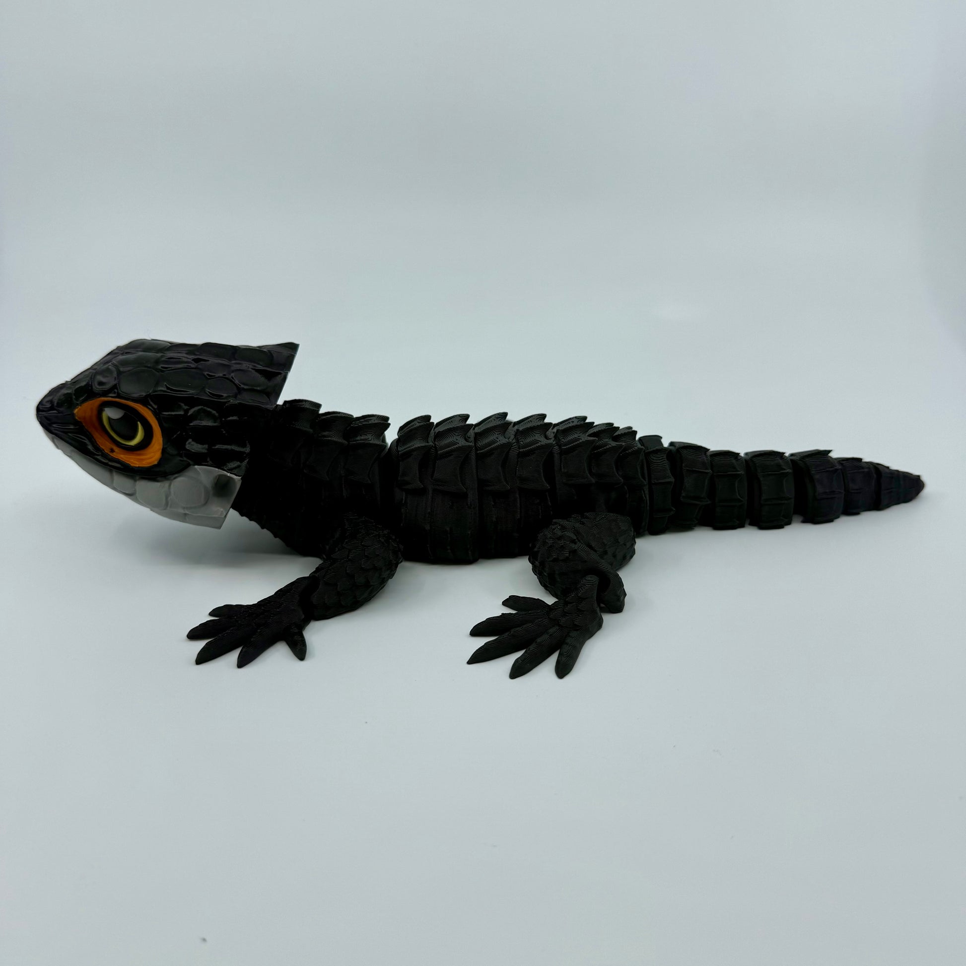Red-Eyed Crocodile Skink