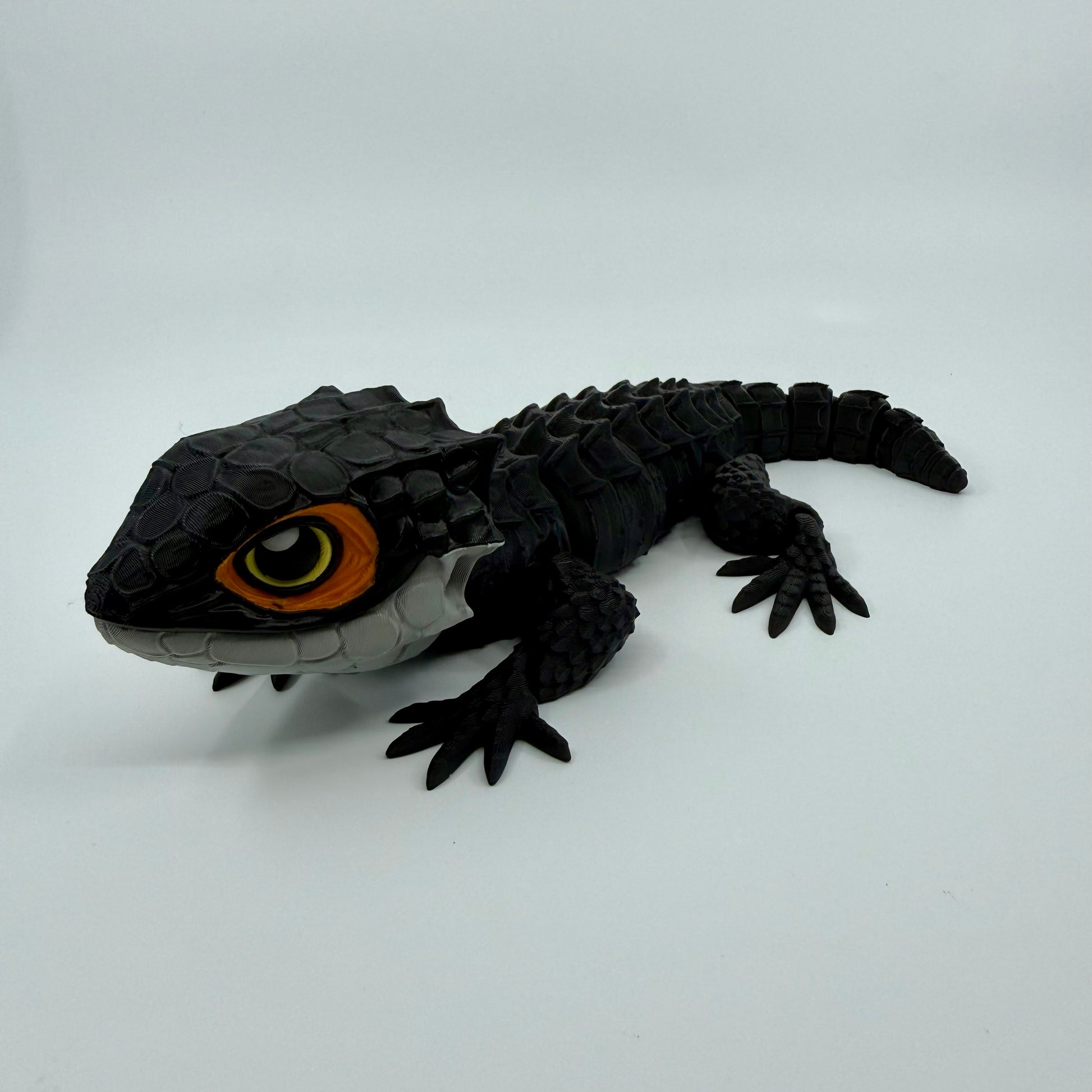Red-Eyed Crocodile Skink
