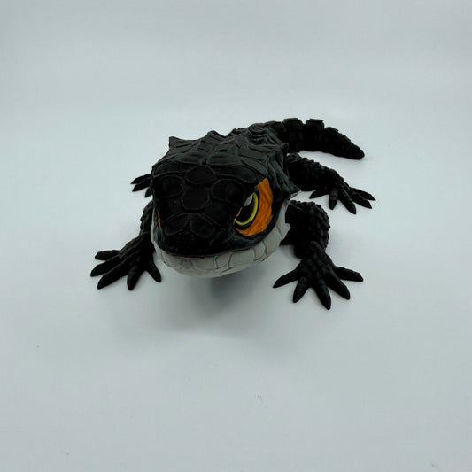 Red-Eyed Crocodile Skink