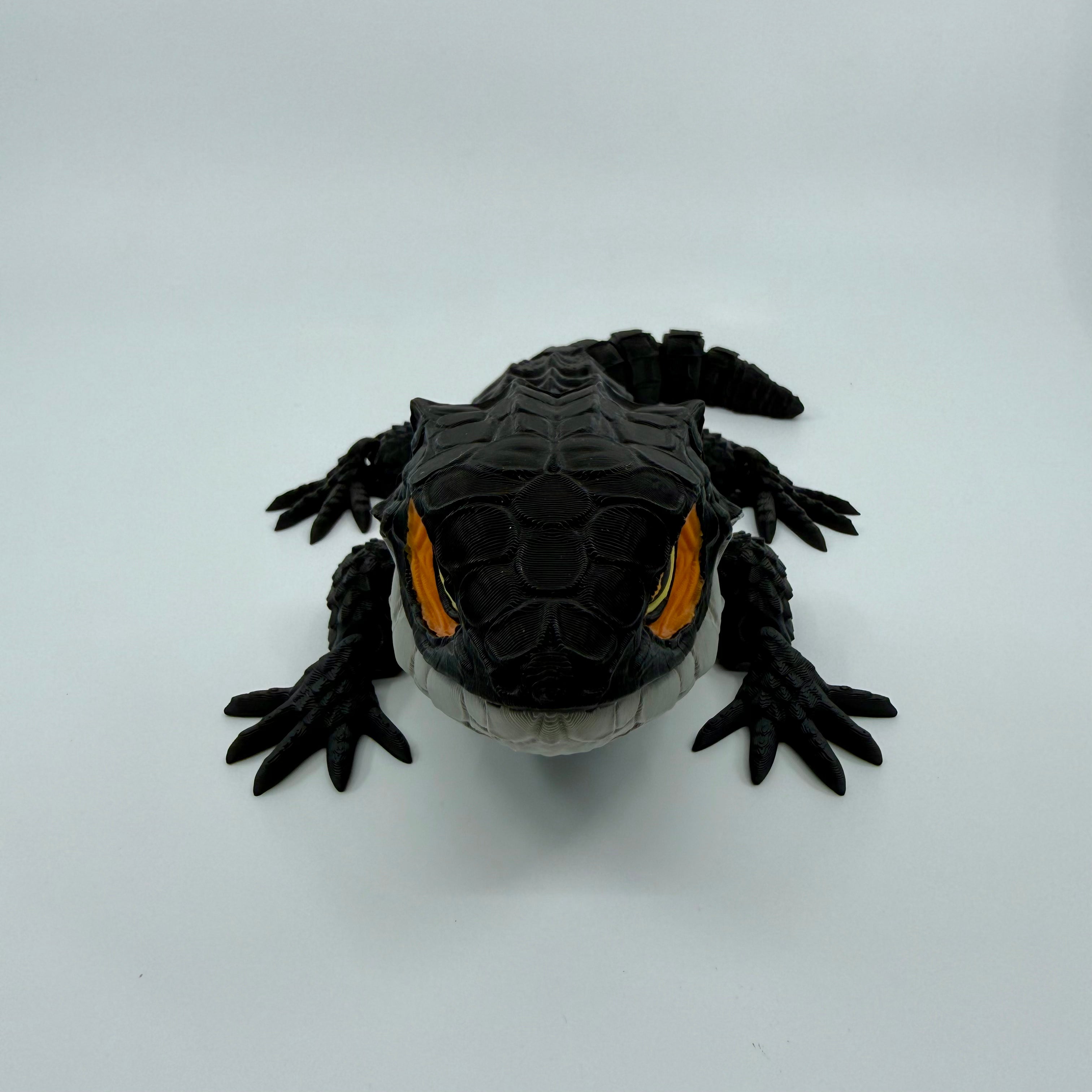 Red-Eyed Crocodile Skink
