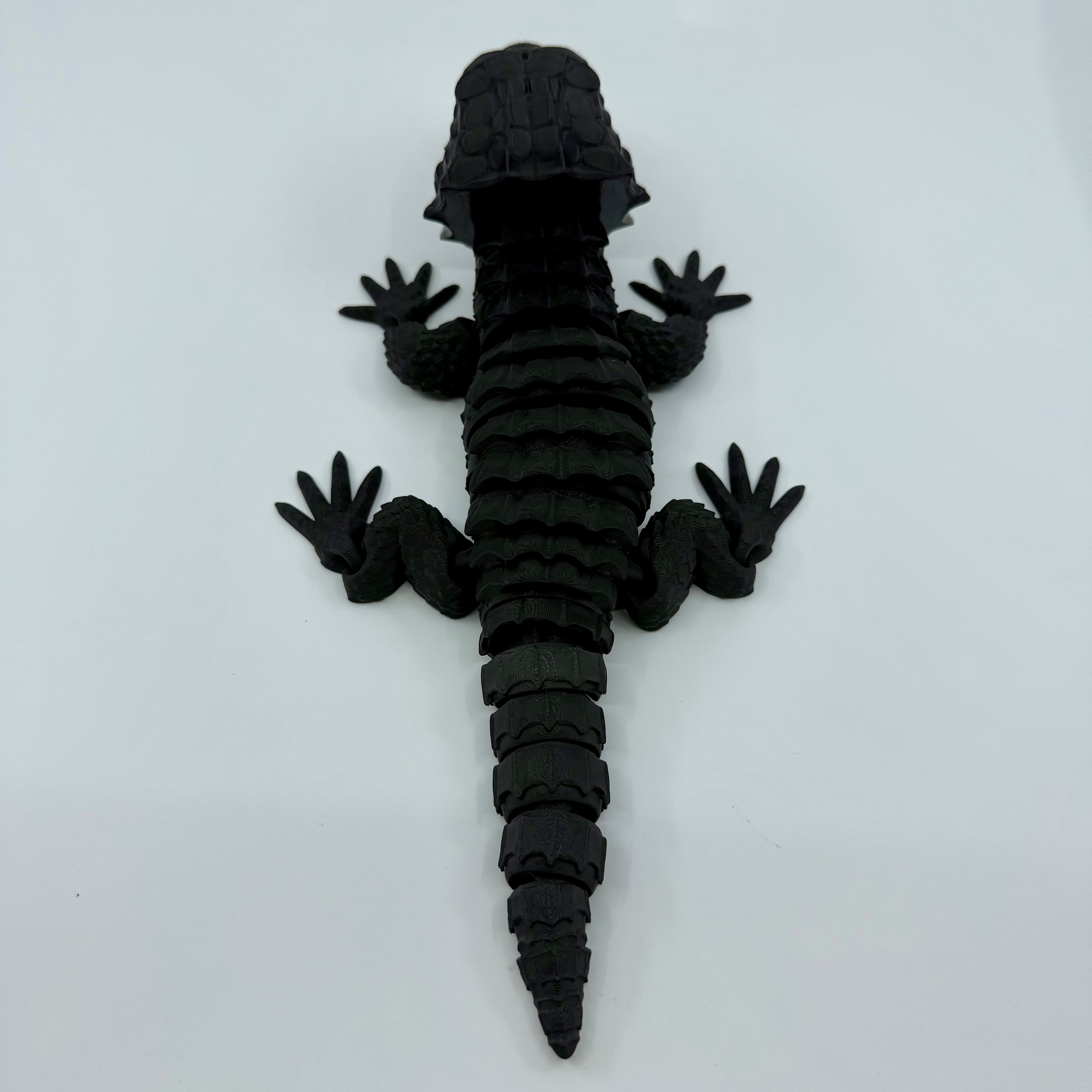 Red-Eyed Crocodile Skink