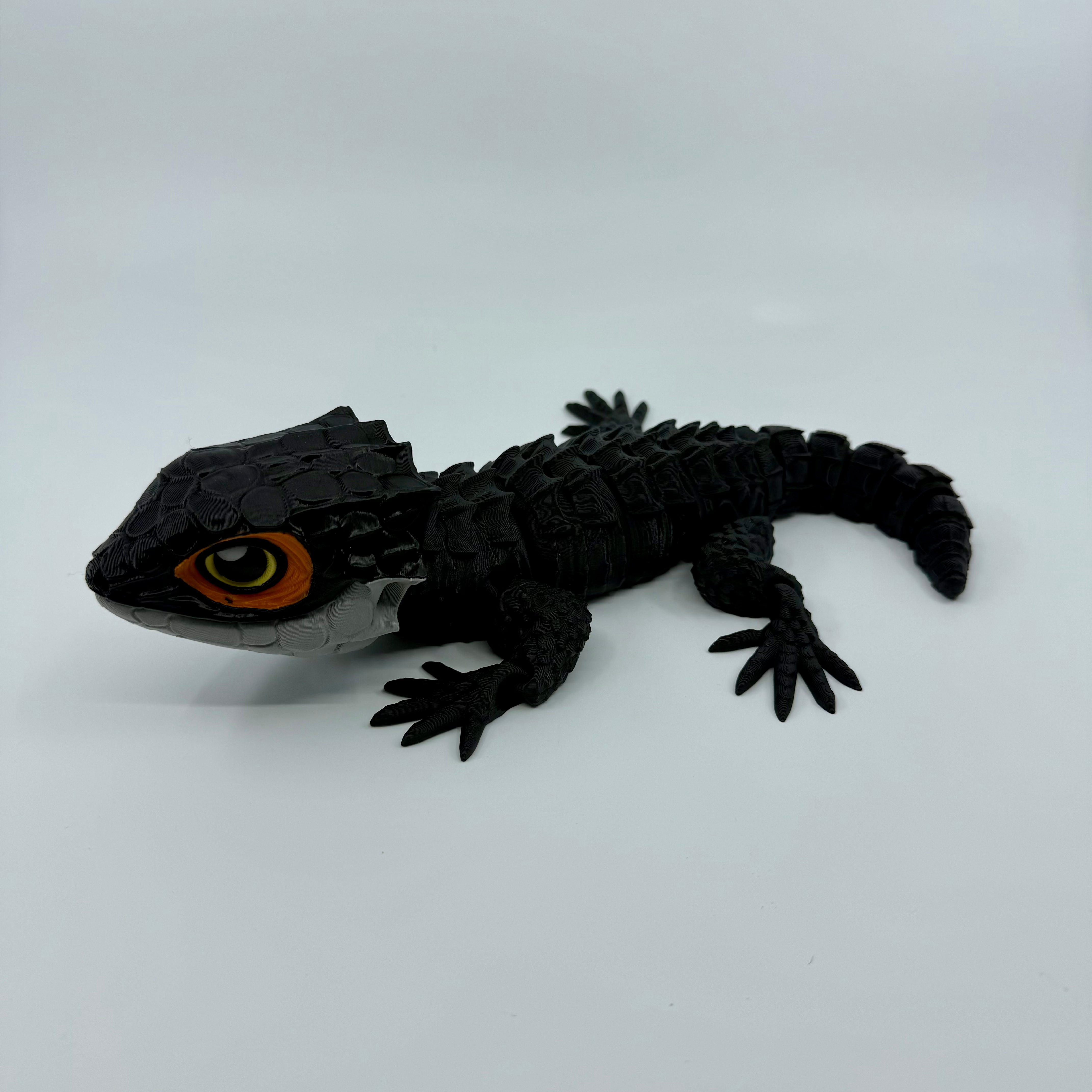 Red-Eyed Crocodile Skink