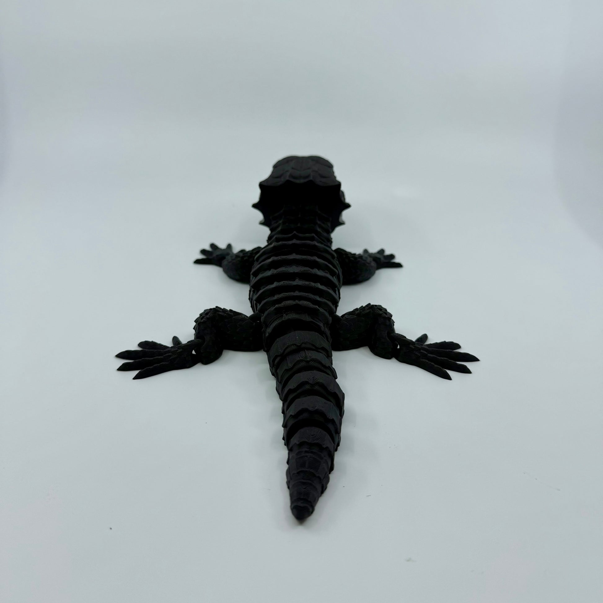 Red-Eyed Crocodile Skink