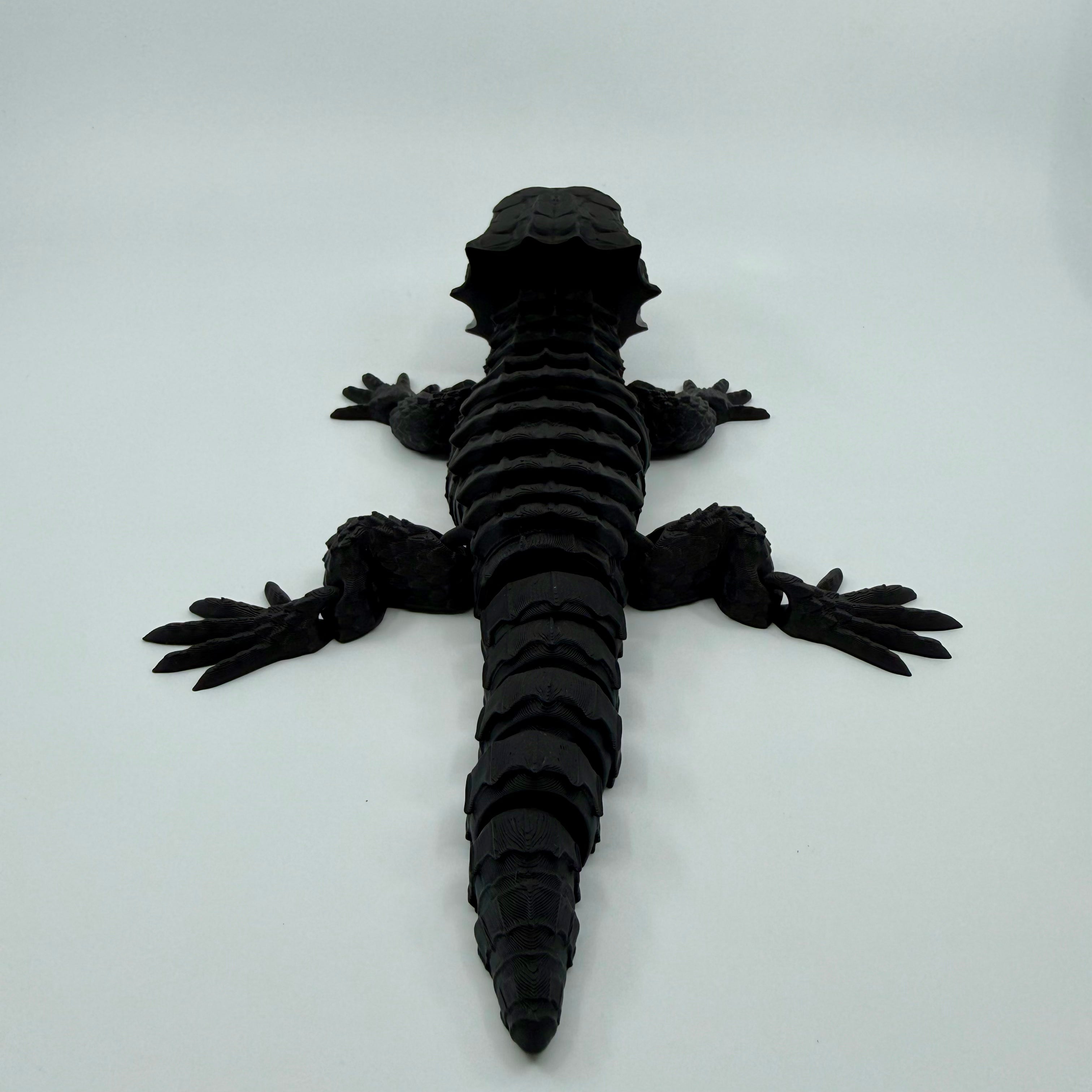 Red-Eyed Crocodile Skink