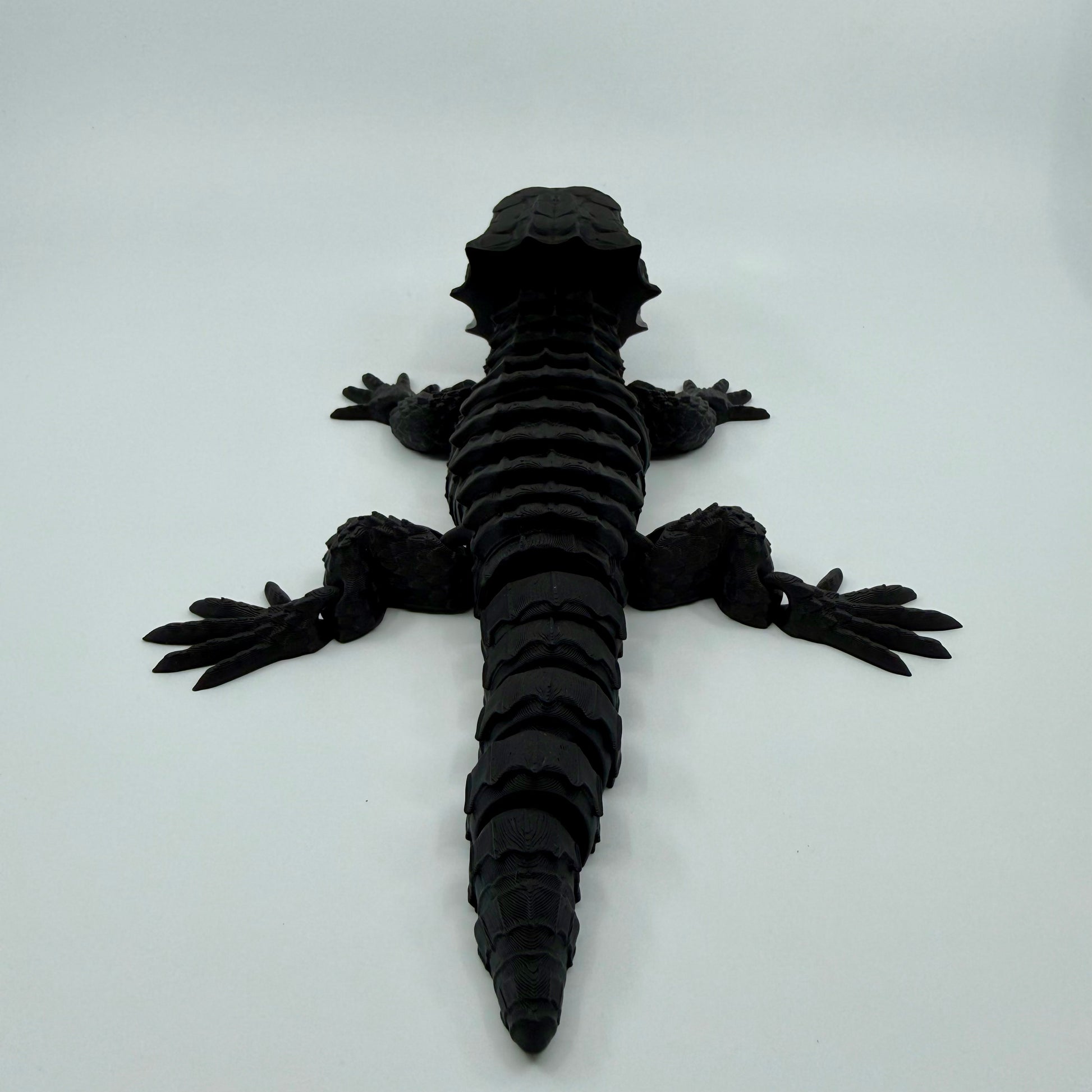 Red-Eyed Crocodile Skink