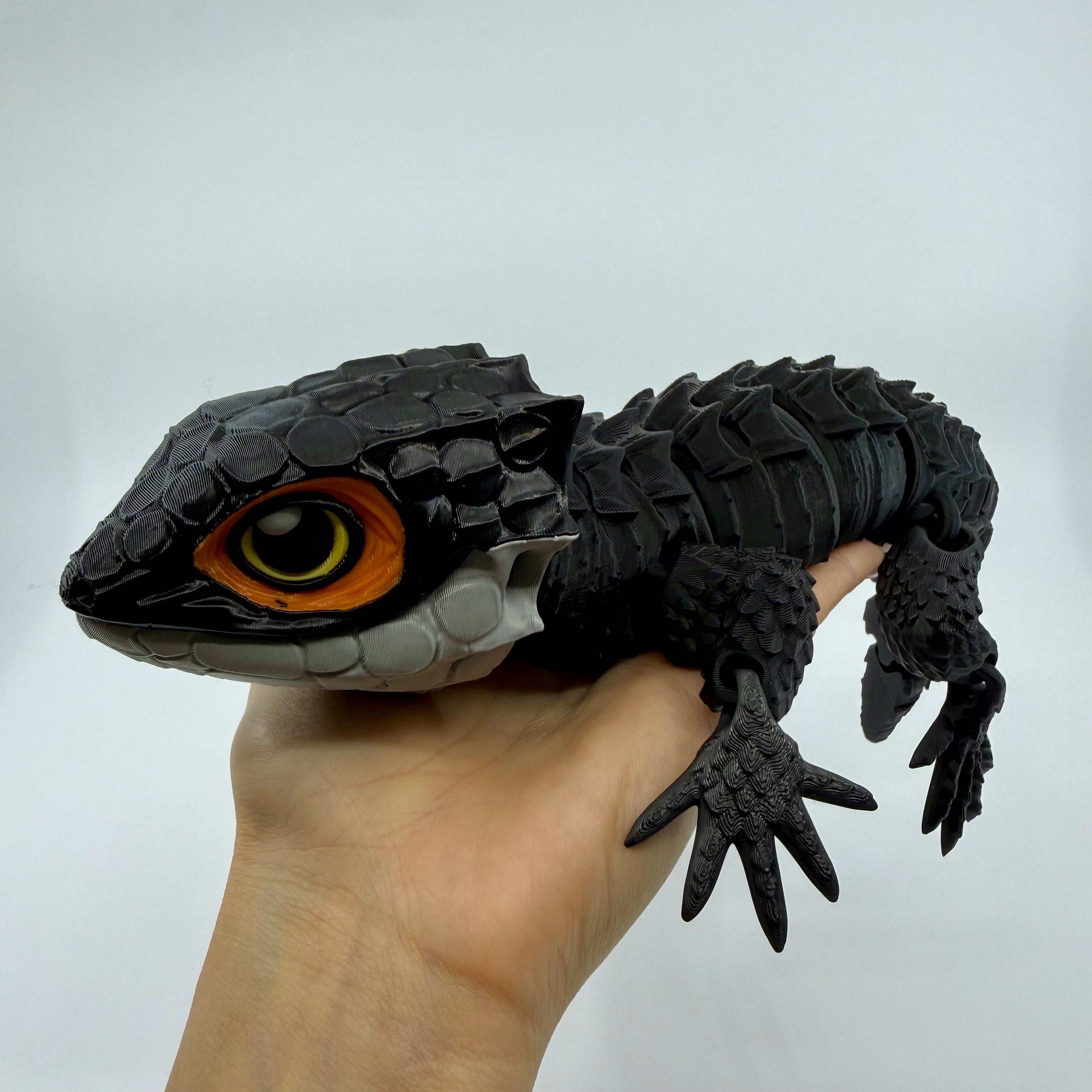 Red-Eyed Crocodile Skink